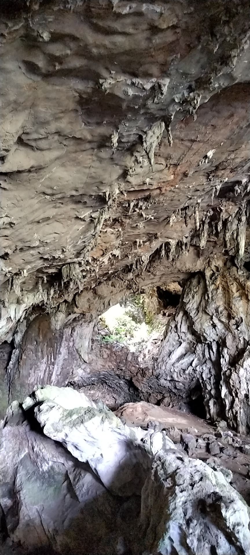 太平洞旅行图片 1