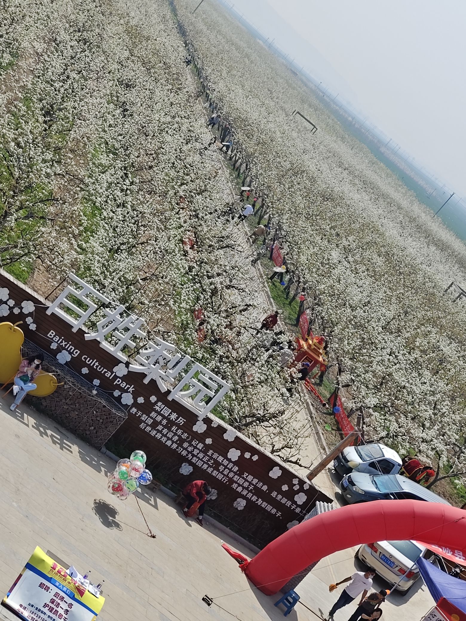 百姓梨园旅行图片 2