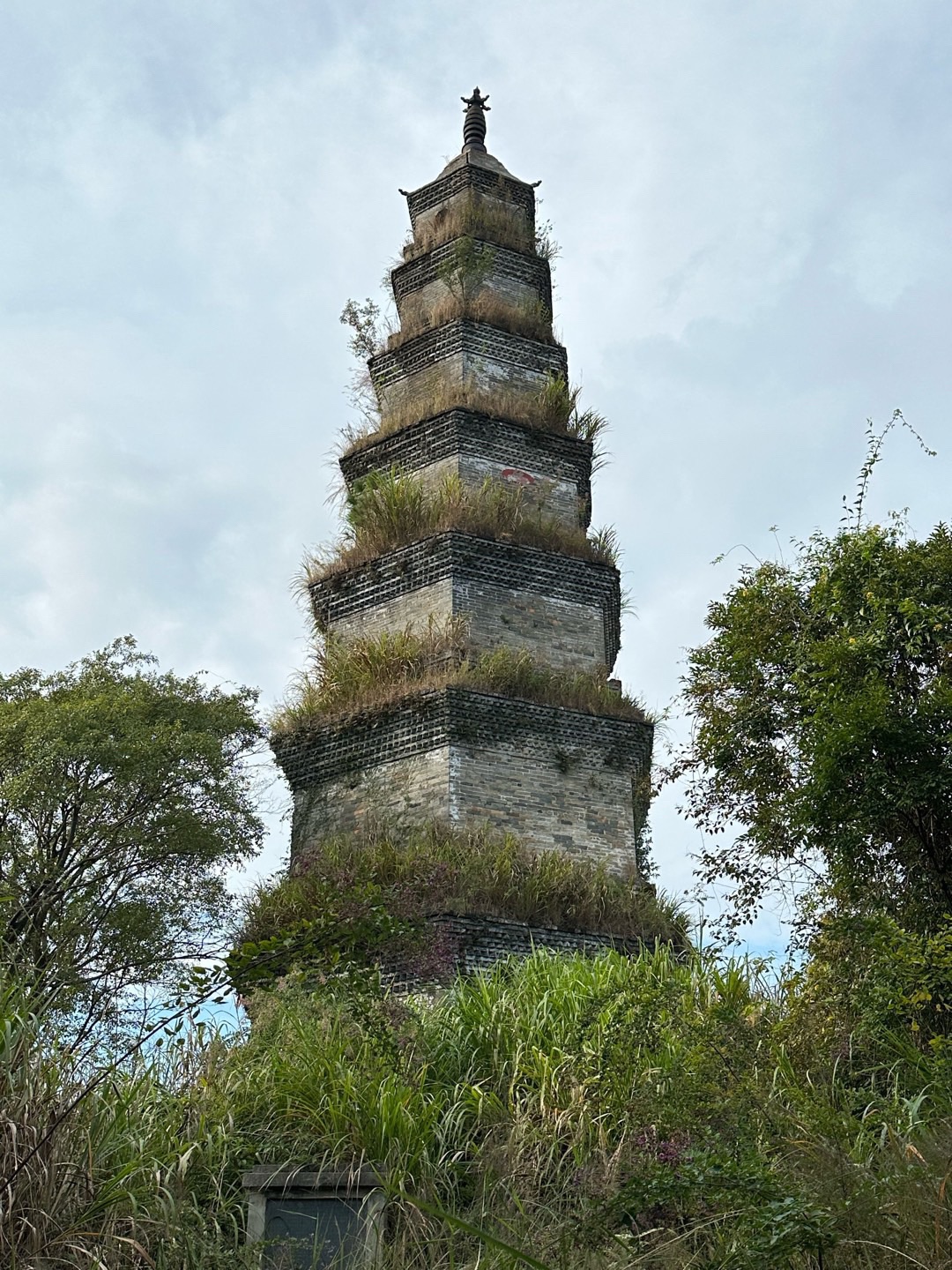 东山塔旅行图片 3