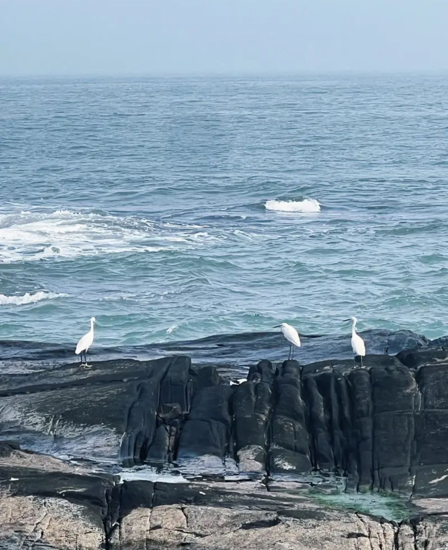 十里黄金海岸红塔湾旅游区旅行图片 2