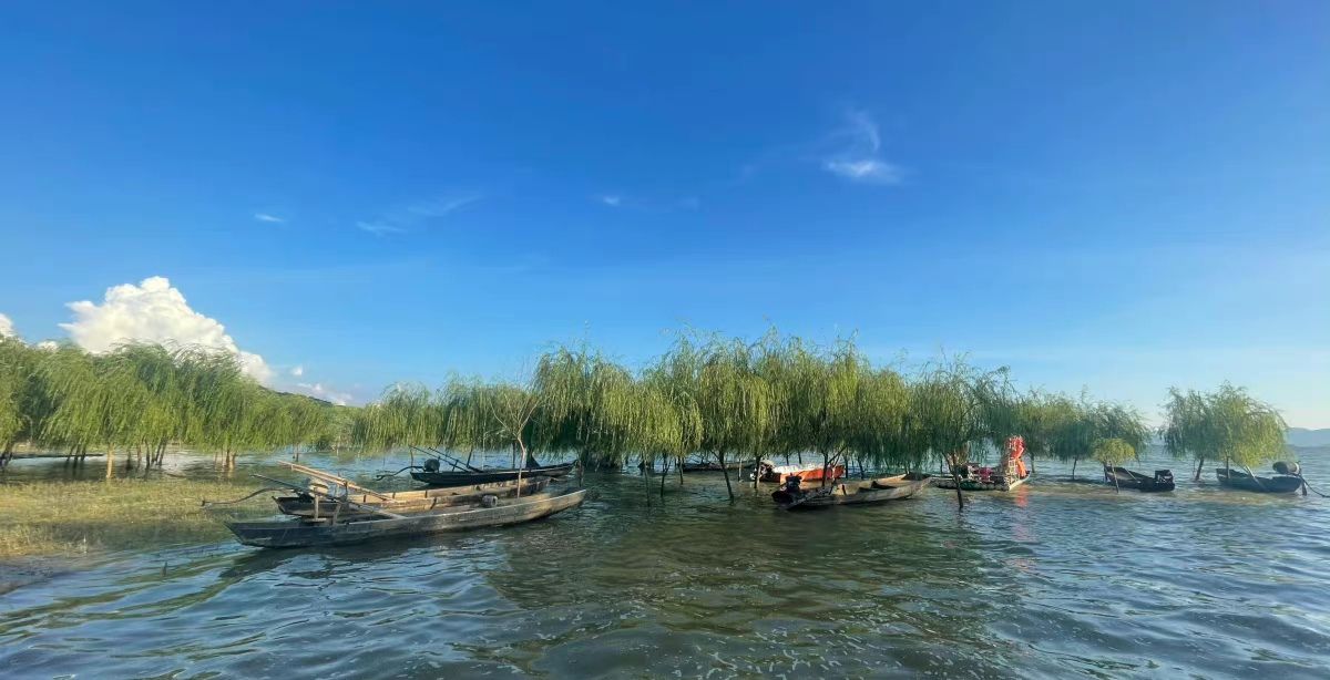 沙洲大草原的第2张图片的图片资料
