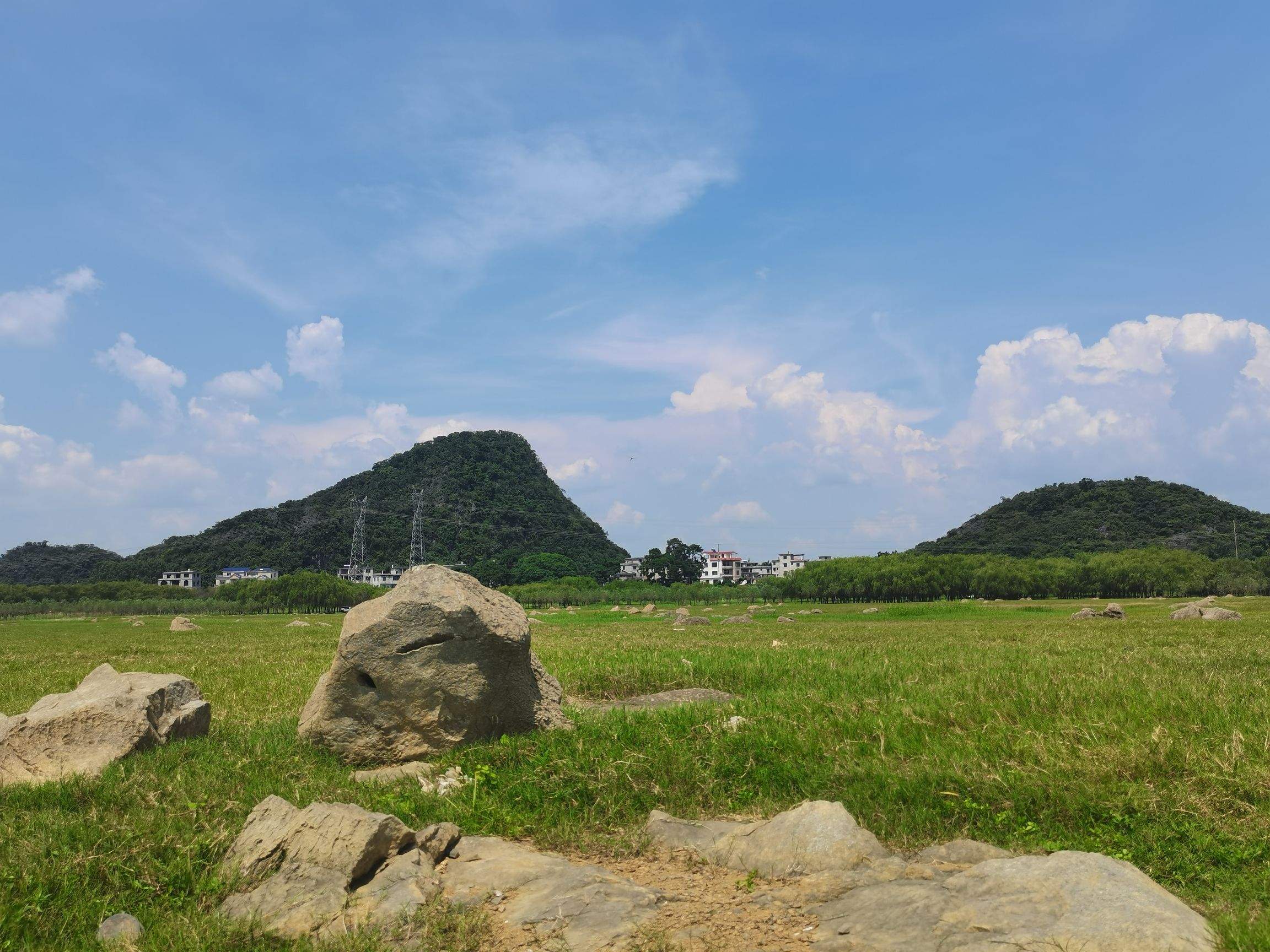 沙洲大草原