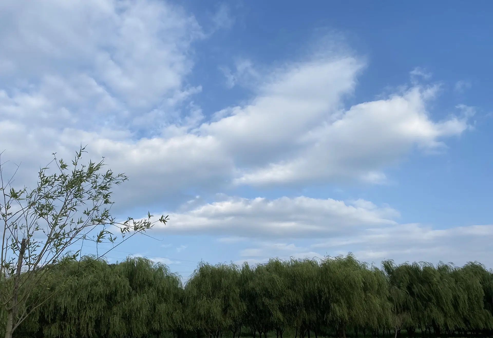 沙洲大草原旅行图片 3