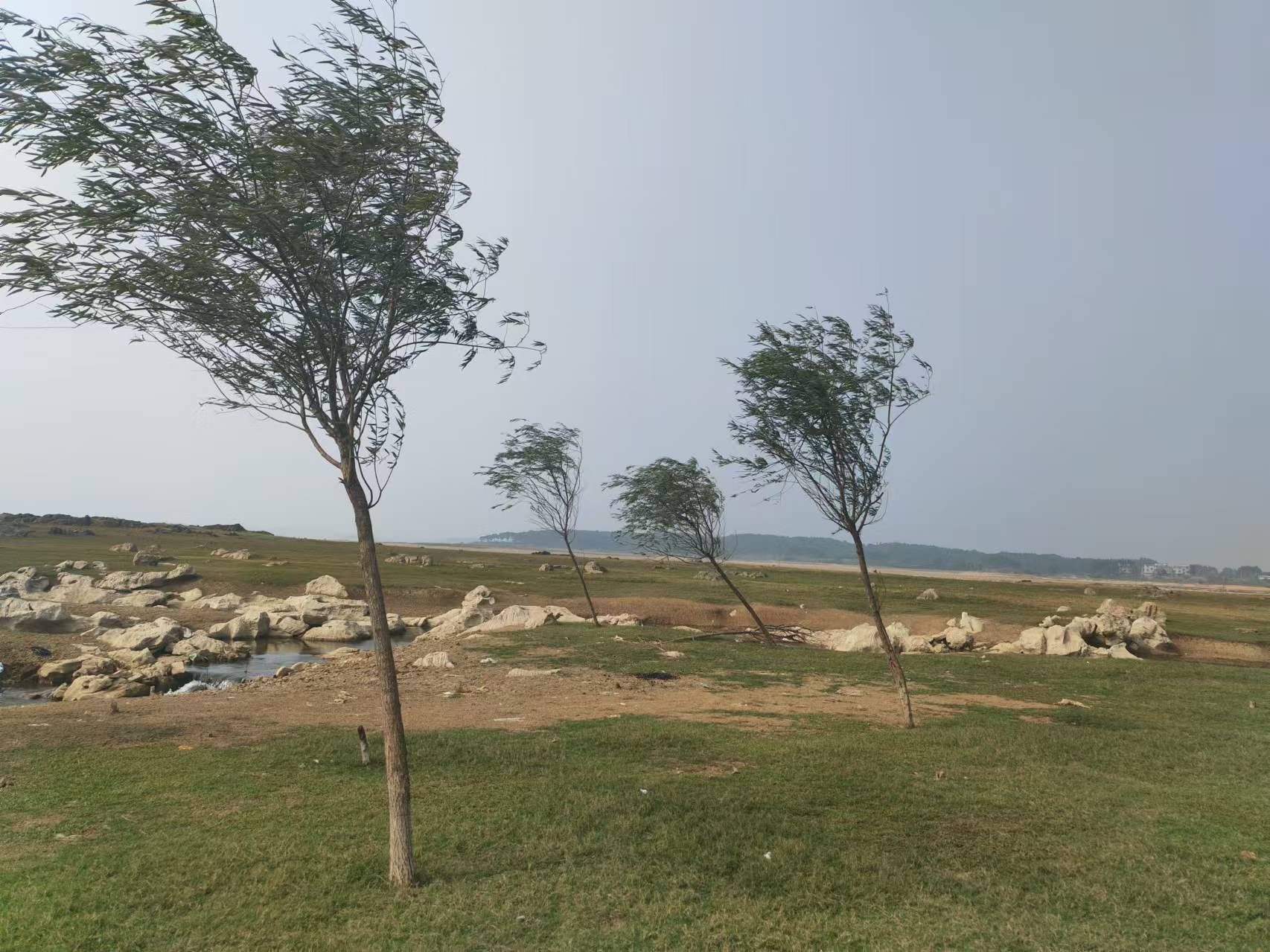 沙洲大草原旅行图片 1
