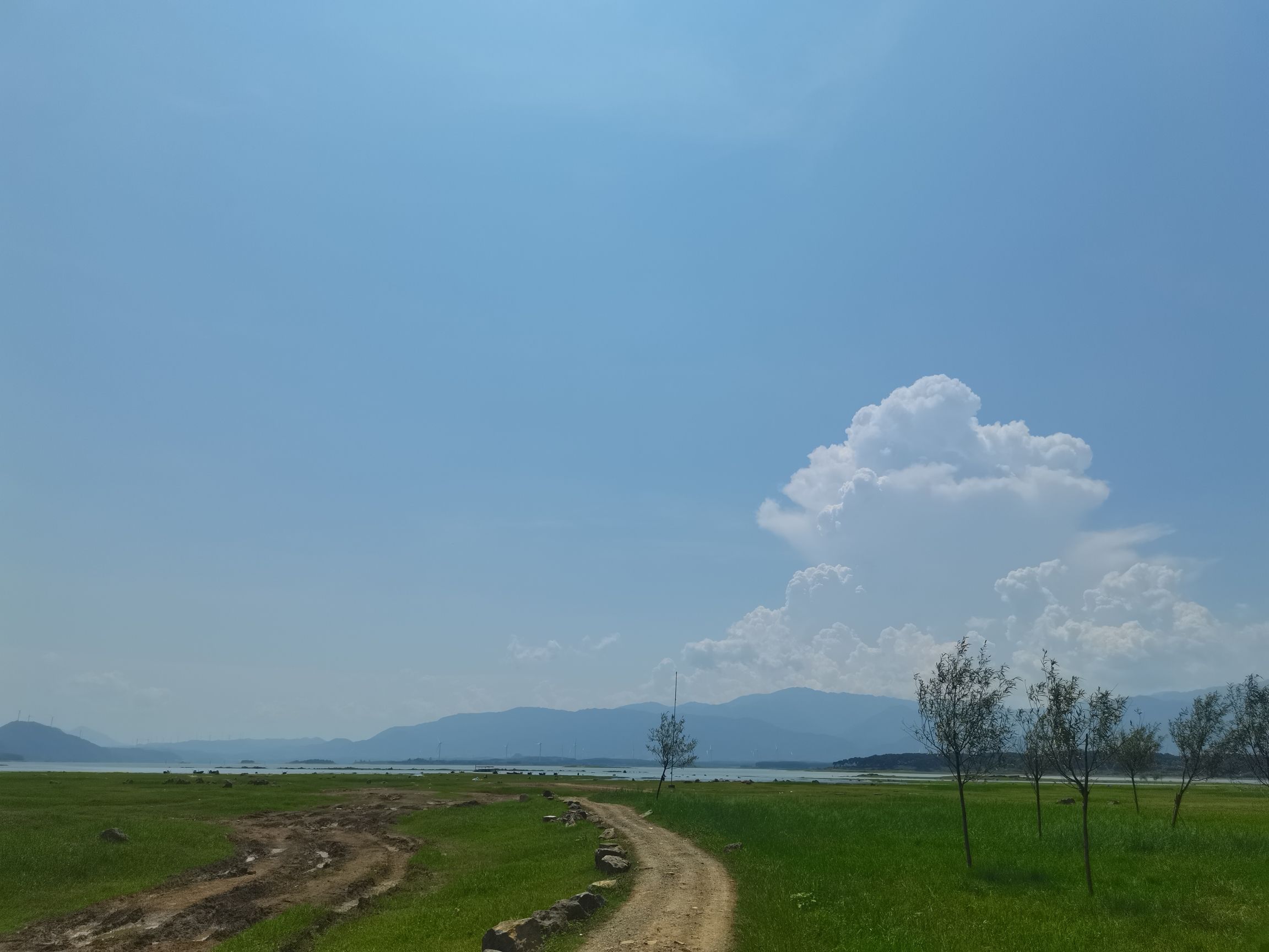 沙洲大草原旅行图片 1