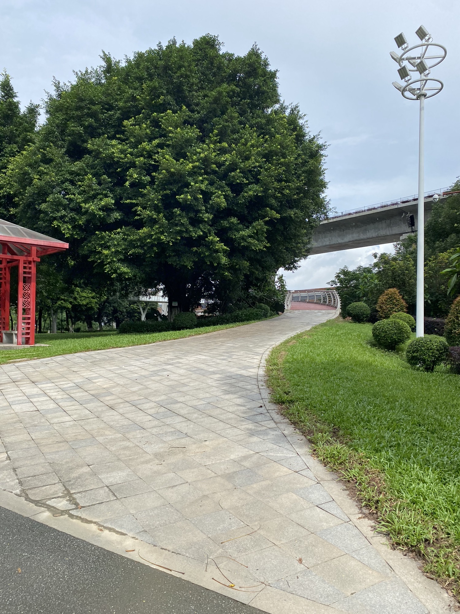 罗村咏春体育公园旅行图片 3