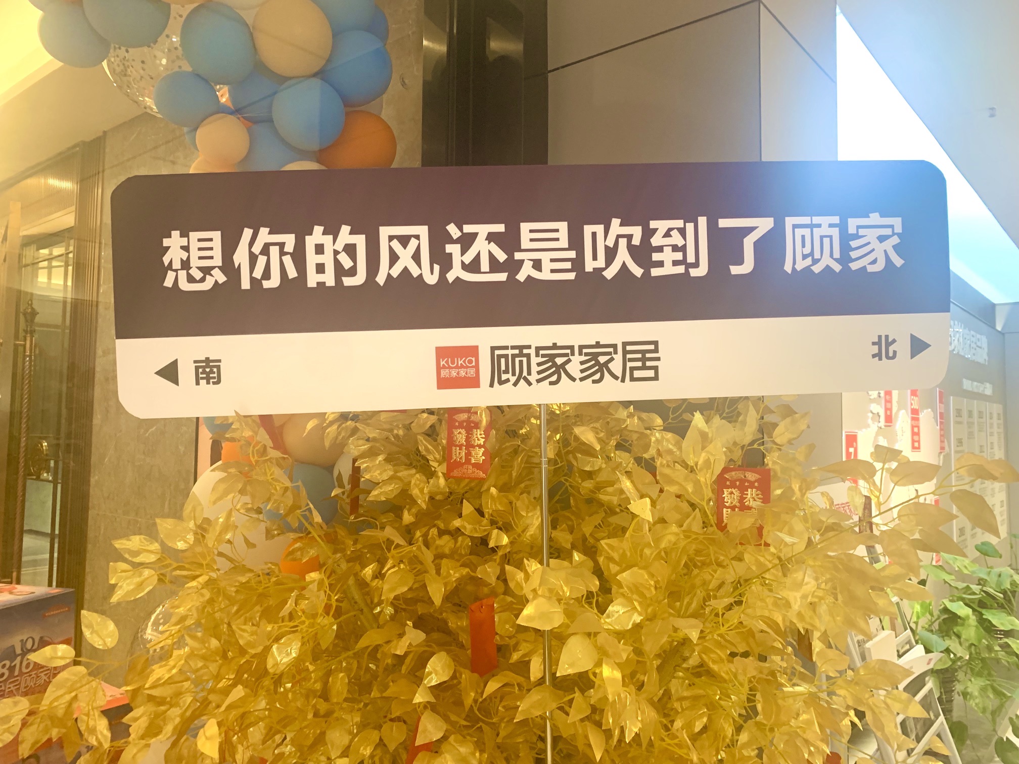 顾家家居(青年大道店)