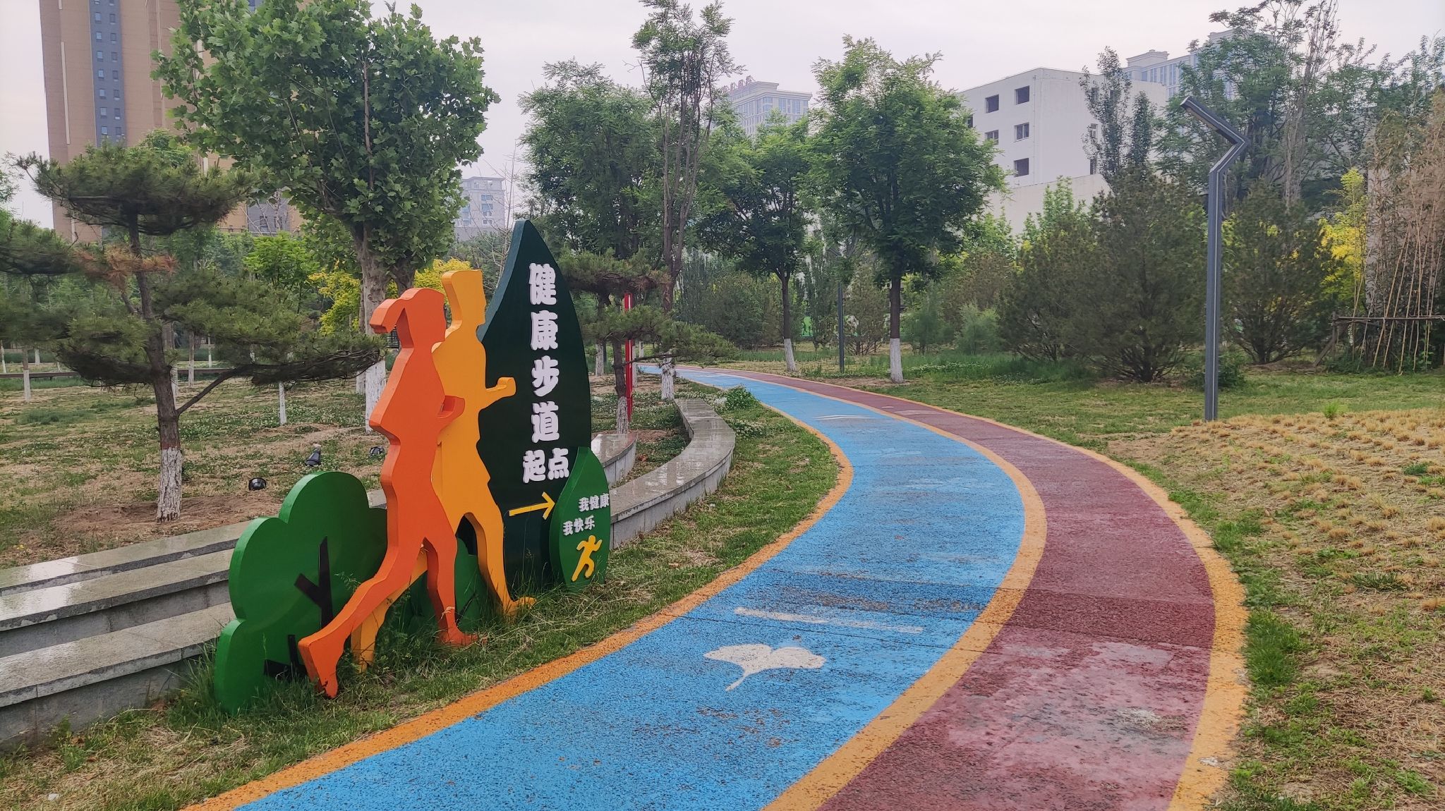 银杏公园旅行图片 2