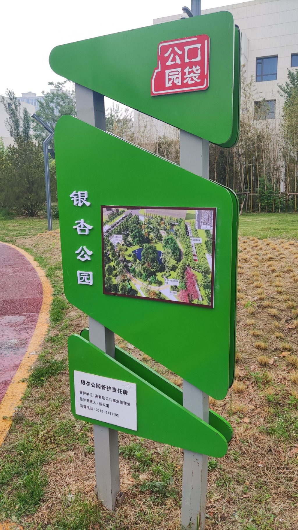 银杏公园旅行图片 1