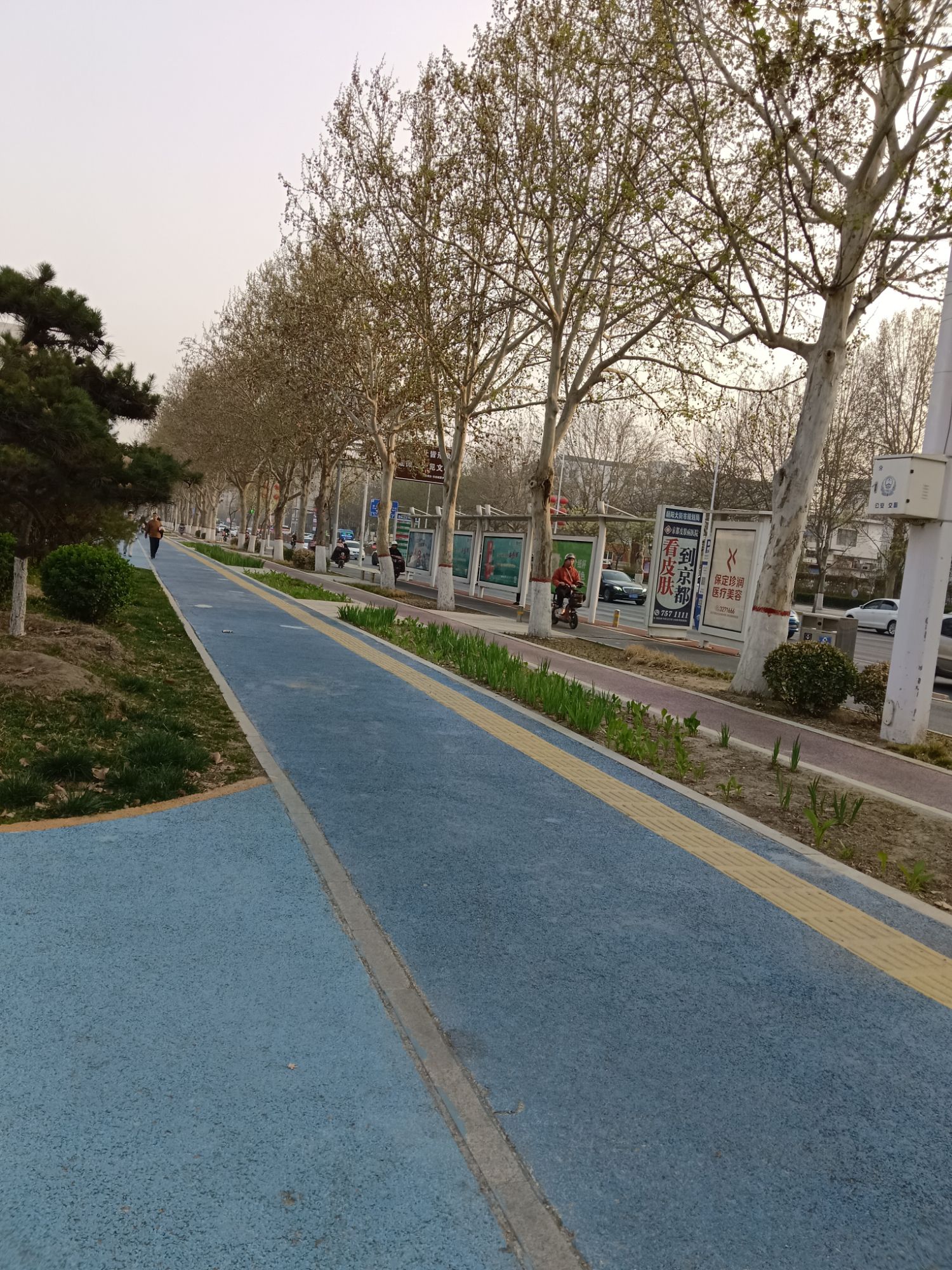 银杏公园旅行图片 3