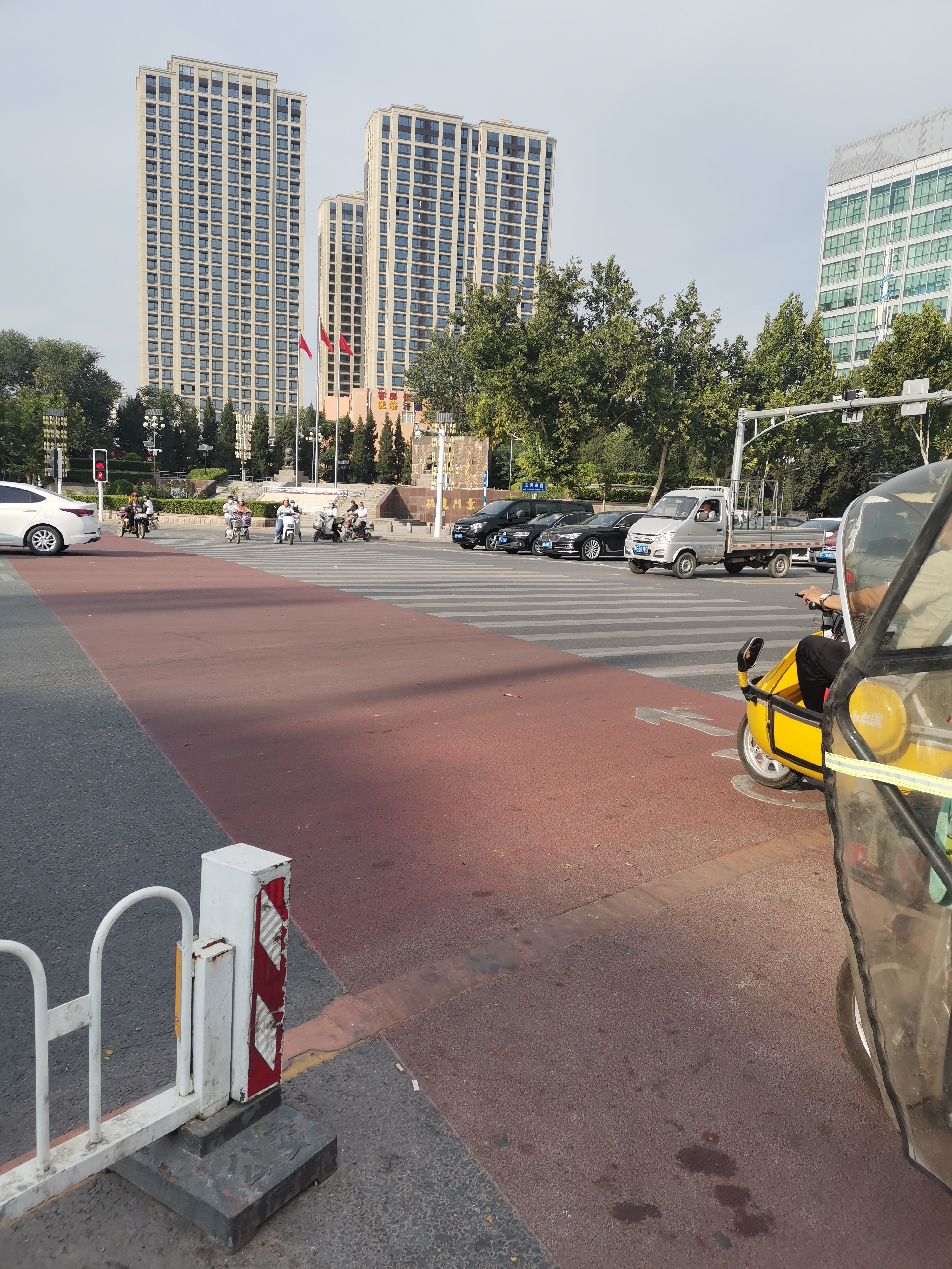 银杏公园旅行图片 3