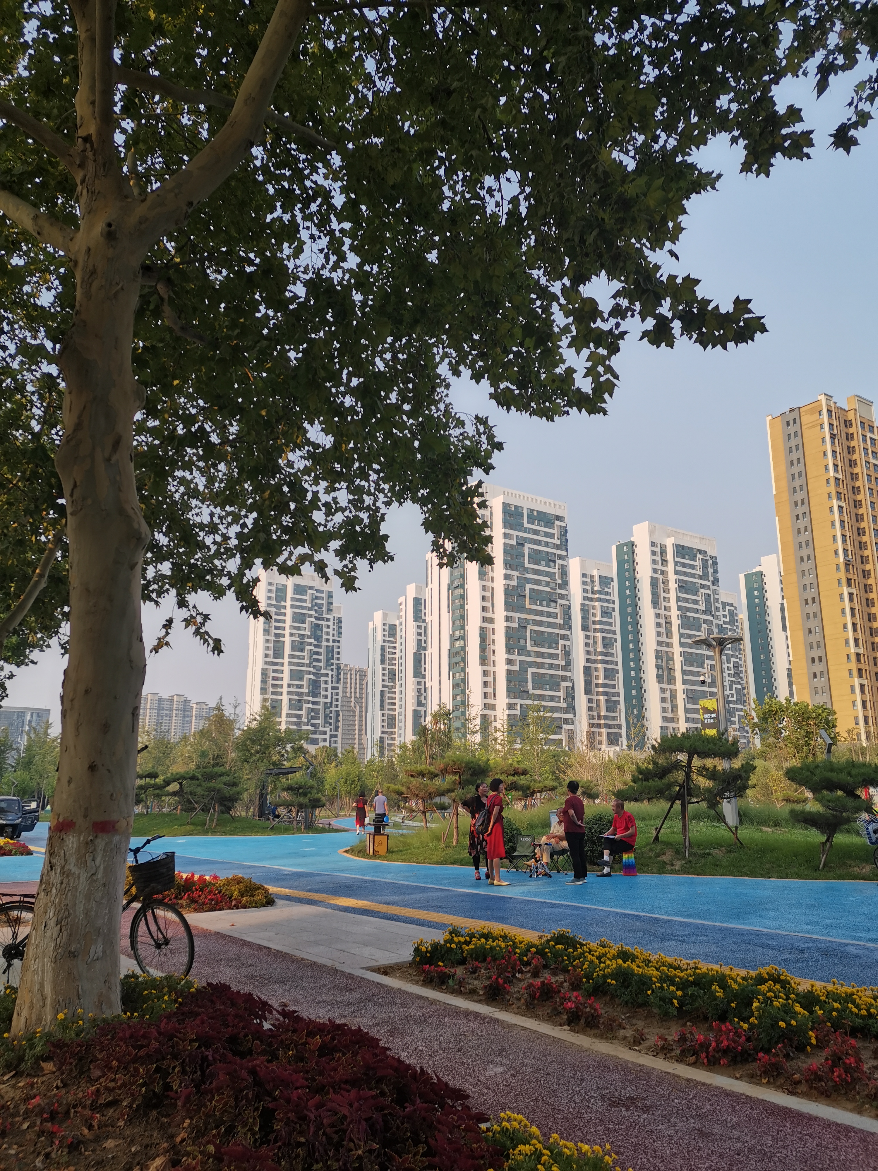 银杏公园旅行图片 1