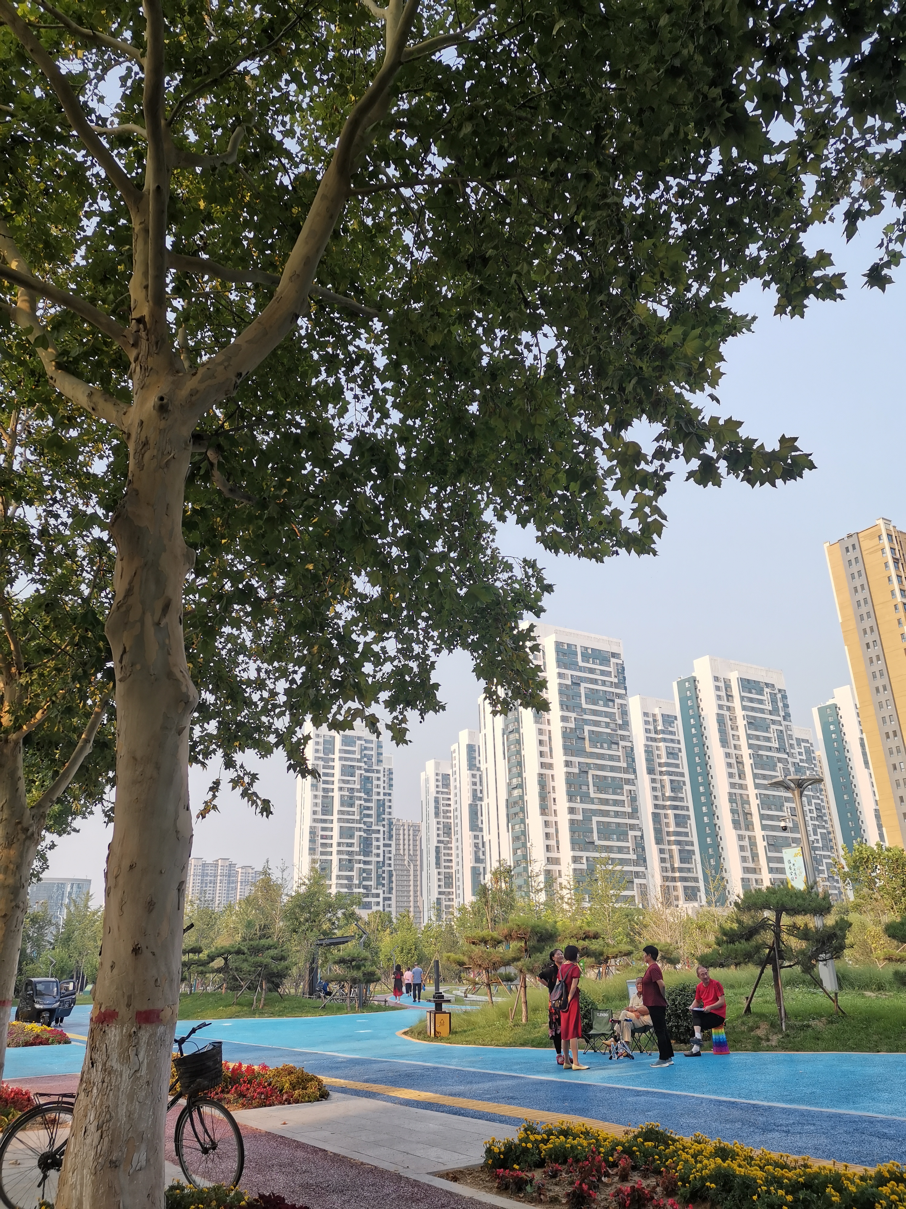 银杏公园旅行图片 2