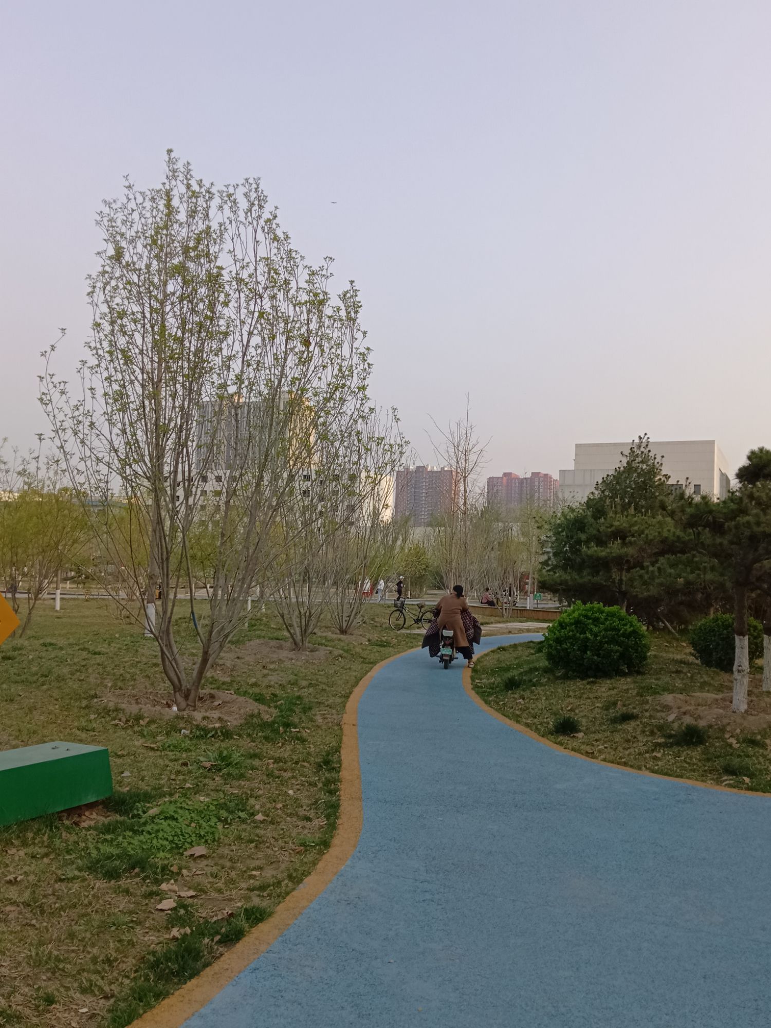 银杏公园旅行图片 2
