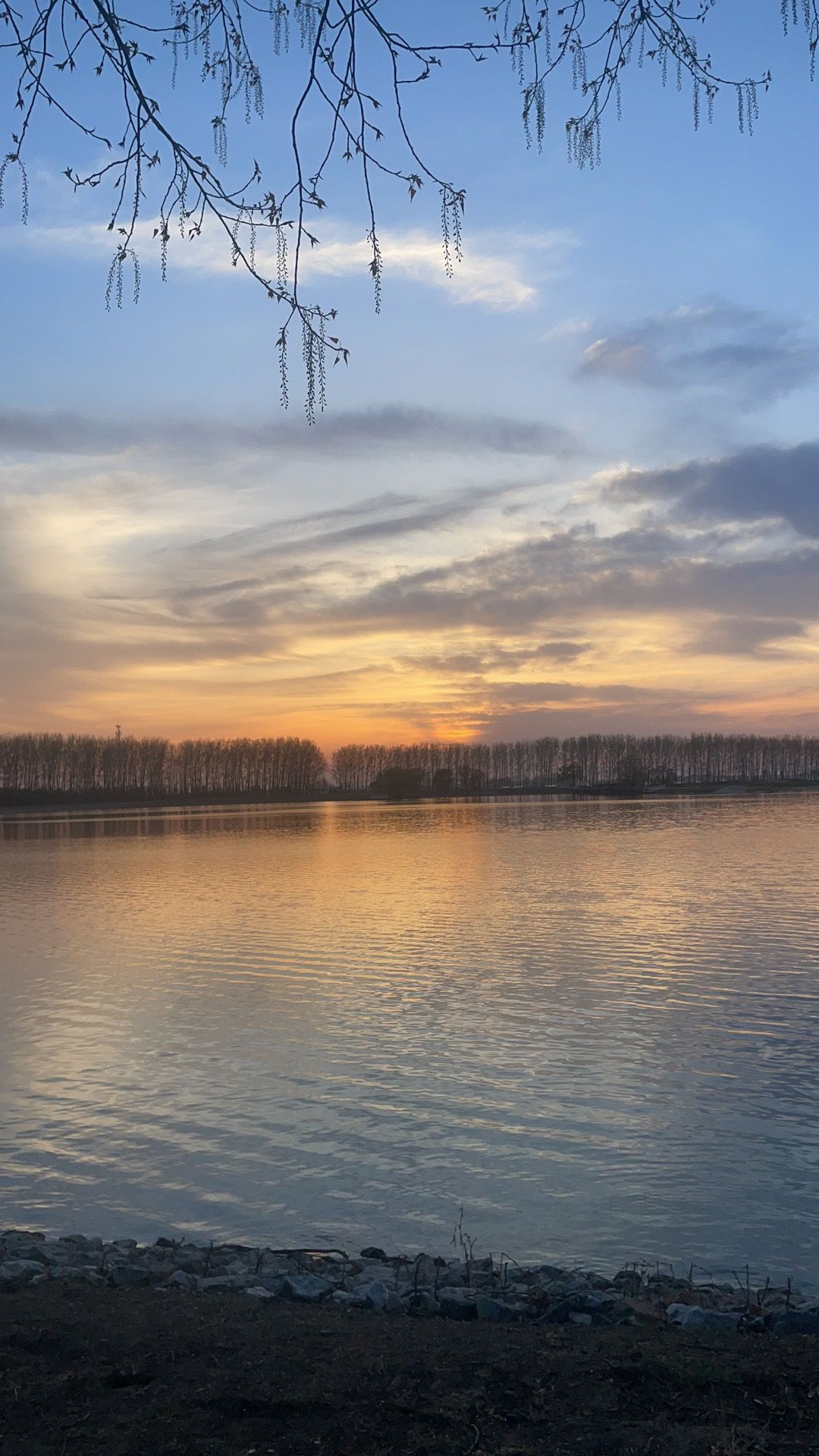 西湖湿地公园