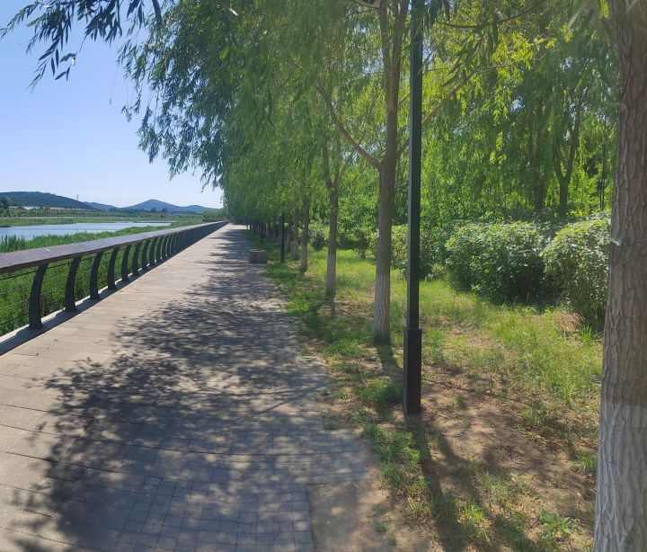 西湖湿地公园