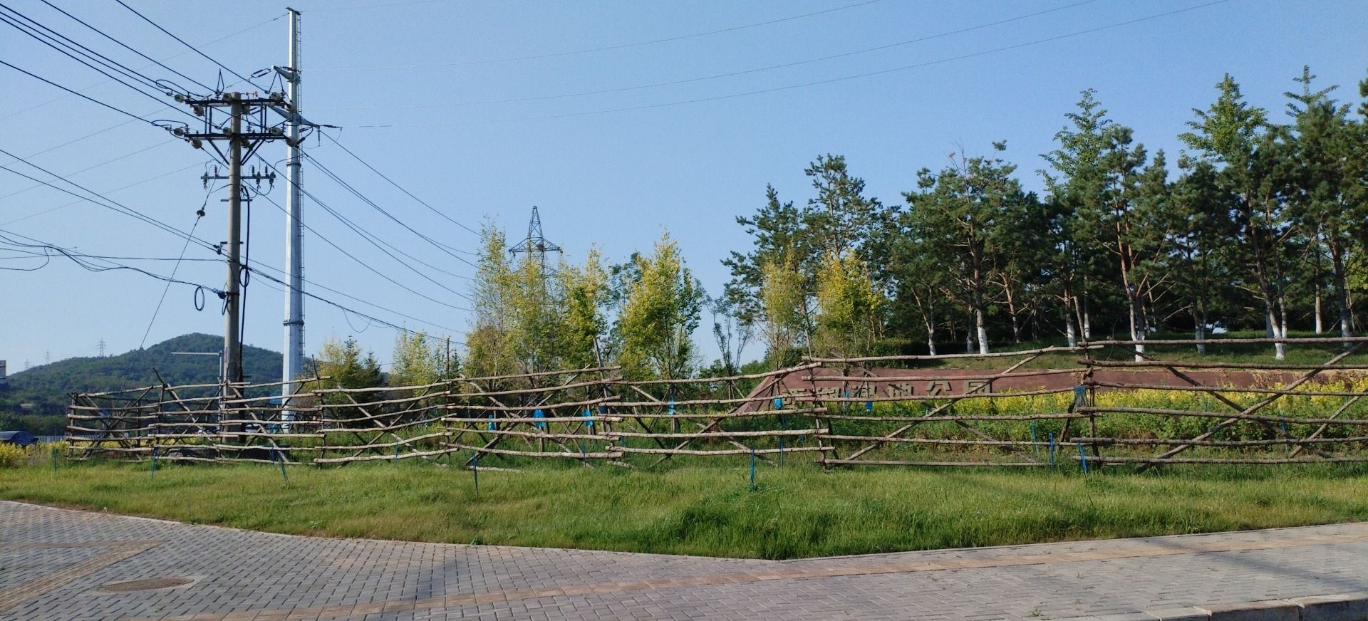 西湖湿地公园旅行图片 1