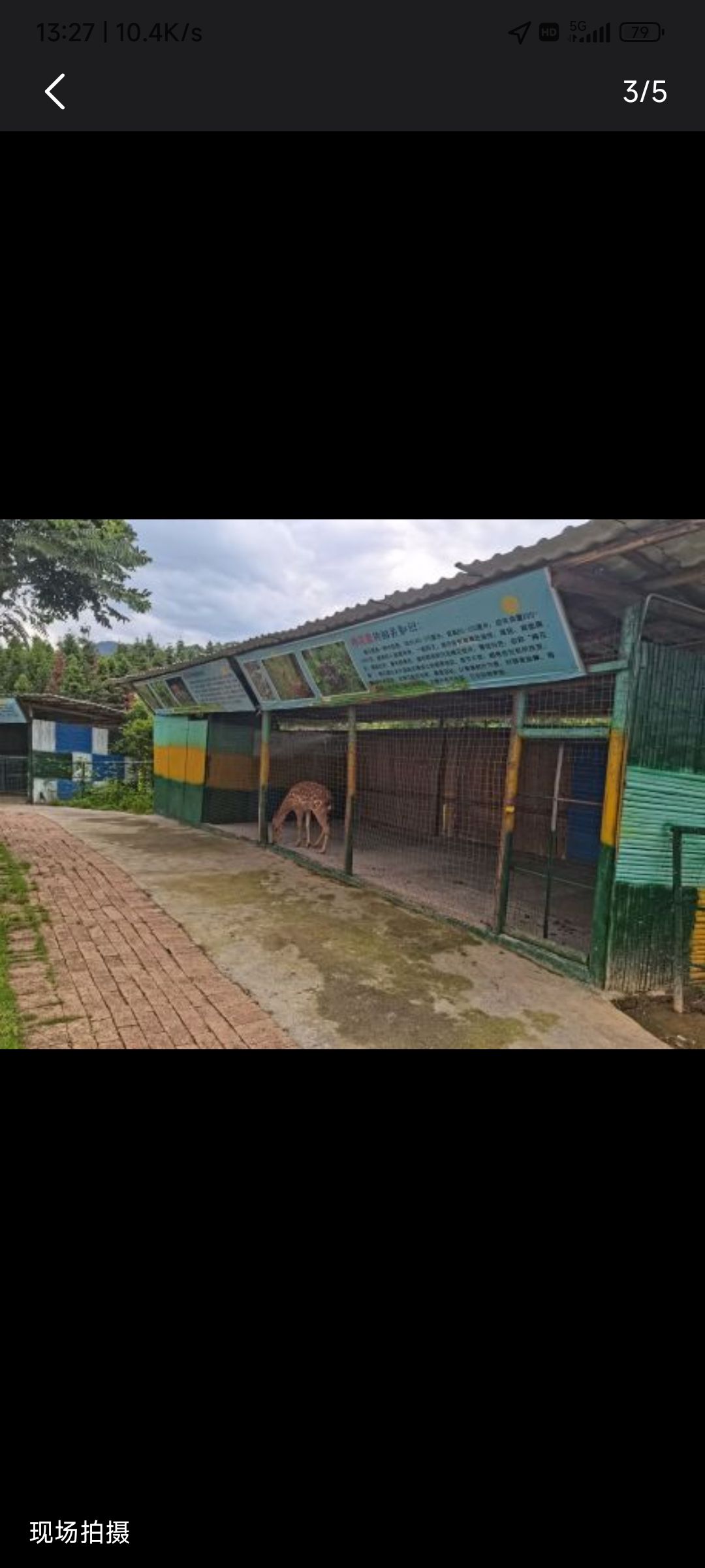四清湖动物园旅行图片 3