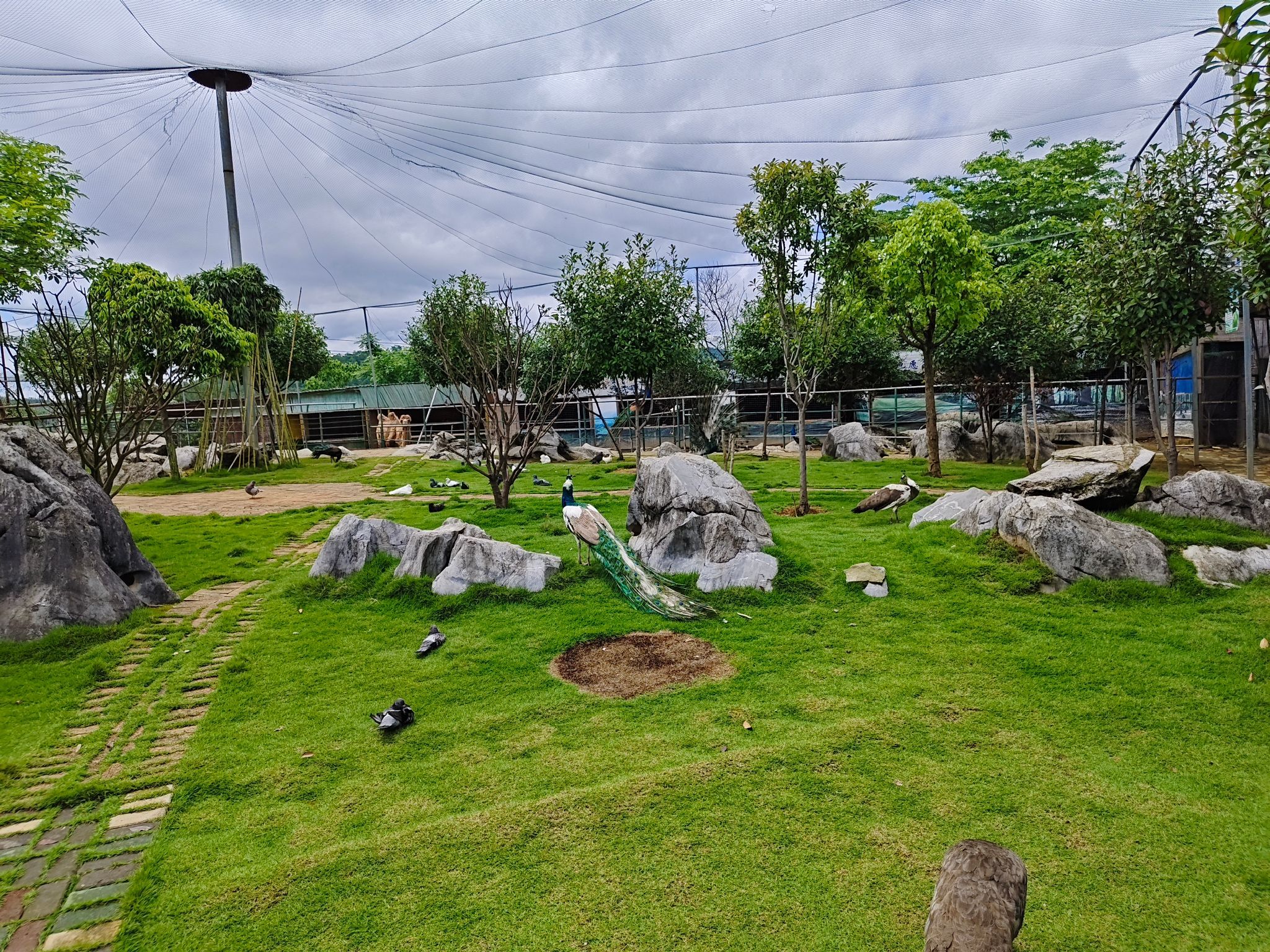 四清湖动物园旅行图片 1