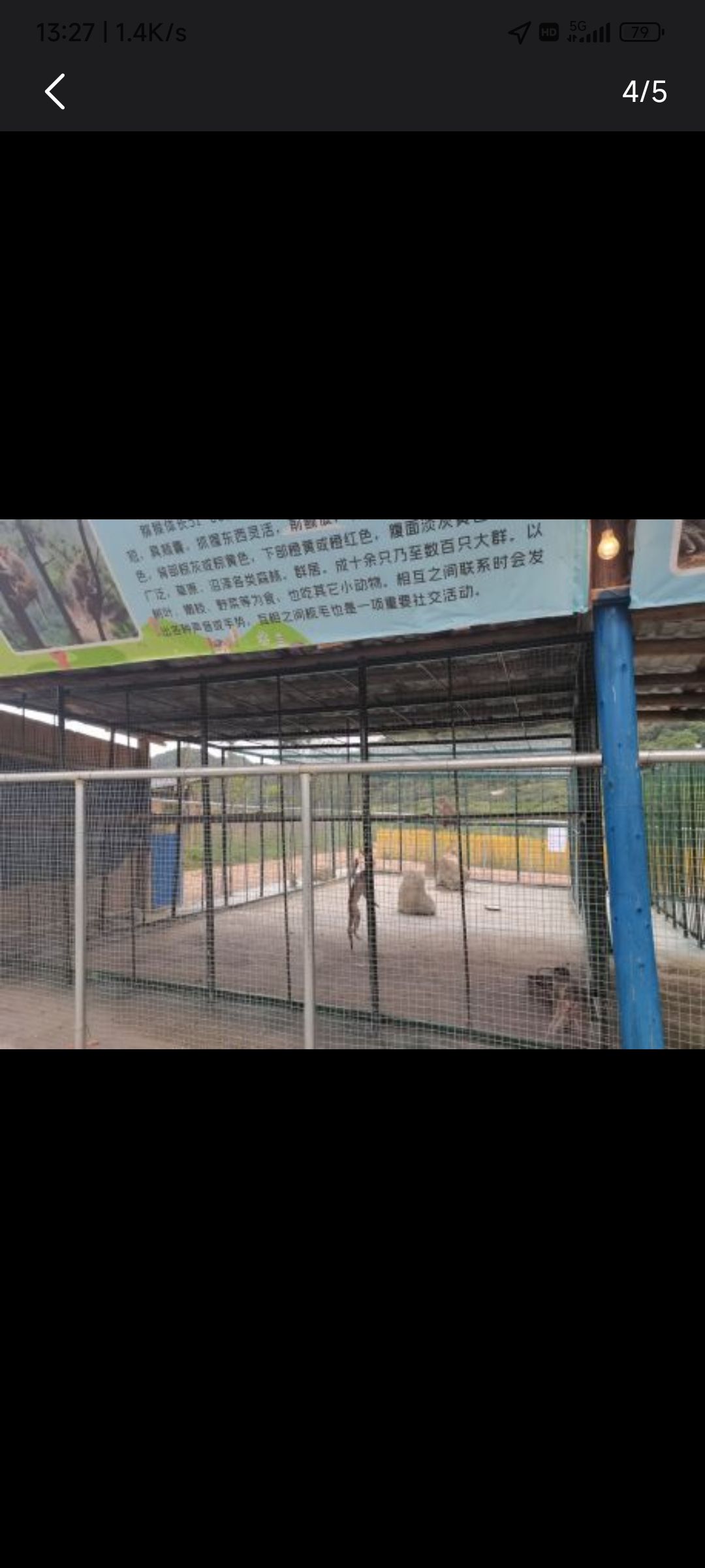 四清湖动物园旅行图片 1