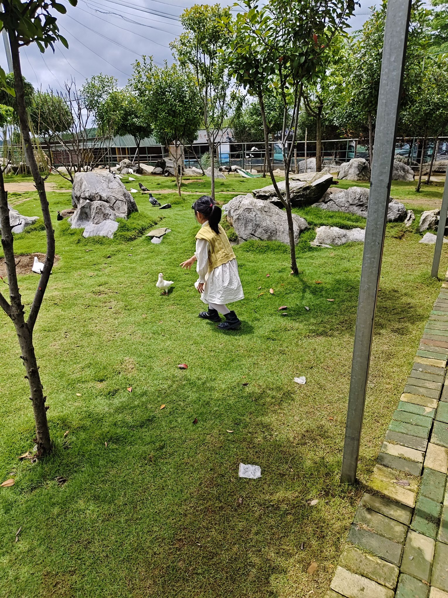 四清湖动物园旅行图片 2