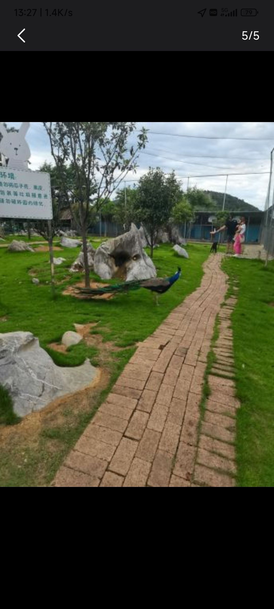 四清湖动物园旅行图片 2