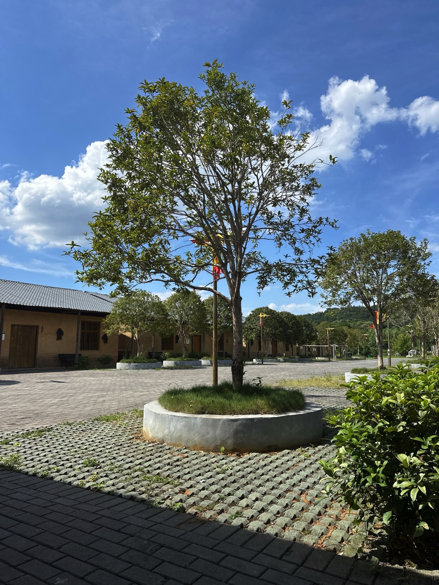四清湖动物园旅行图片 1