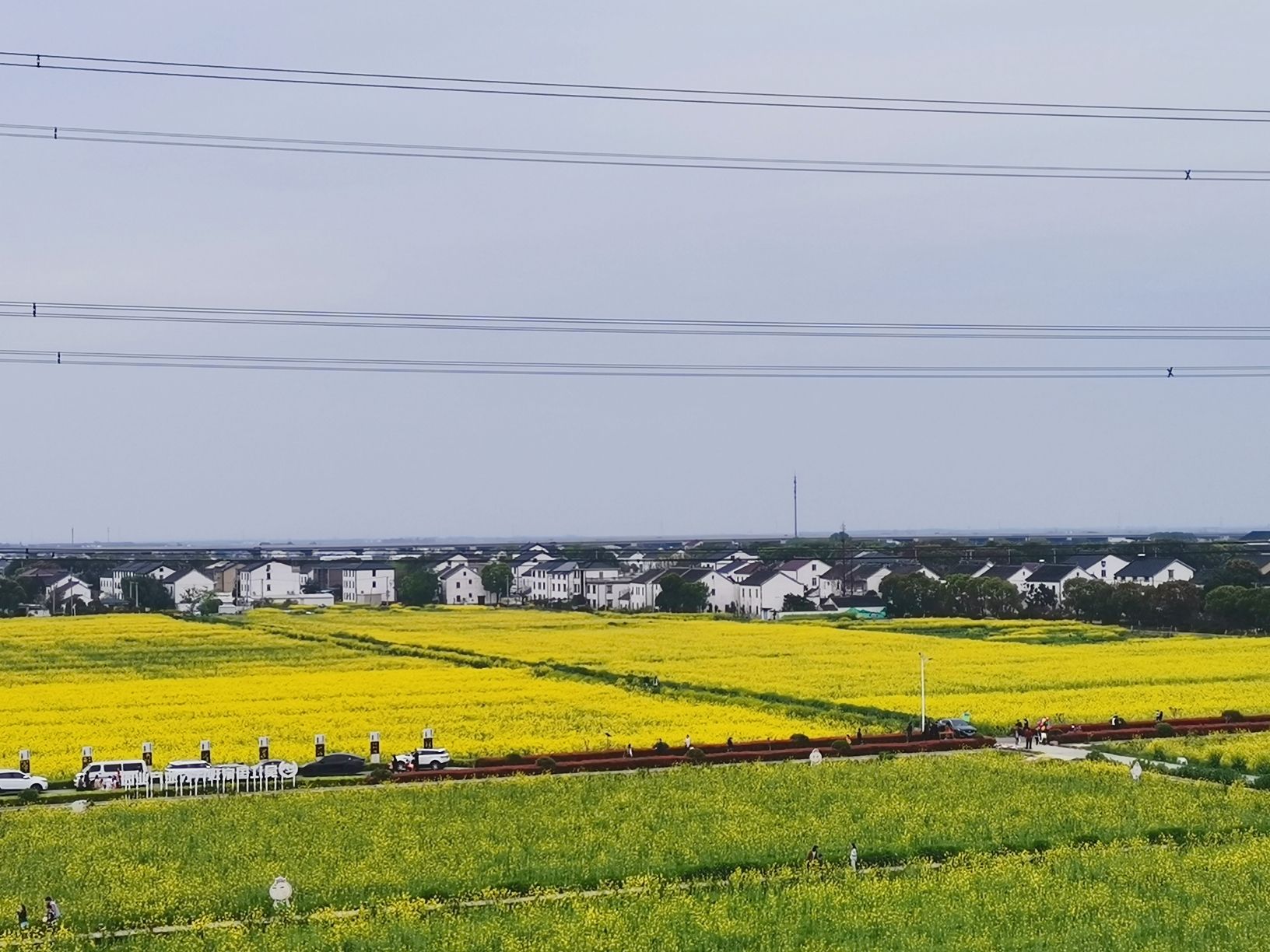 北联村油菜花瞭望台旅行图片 2