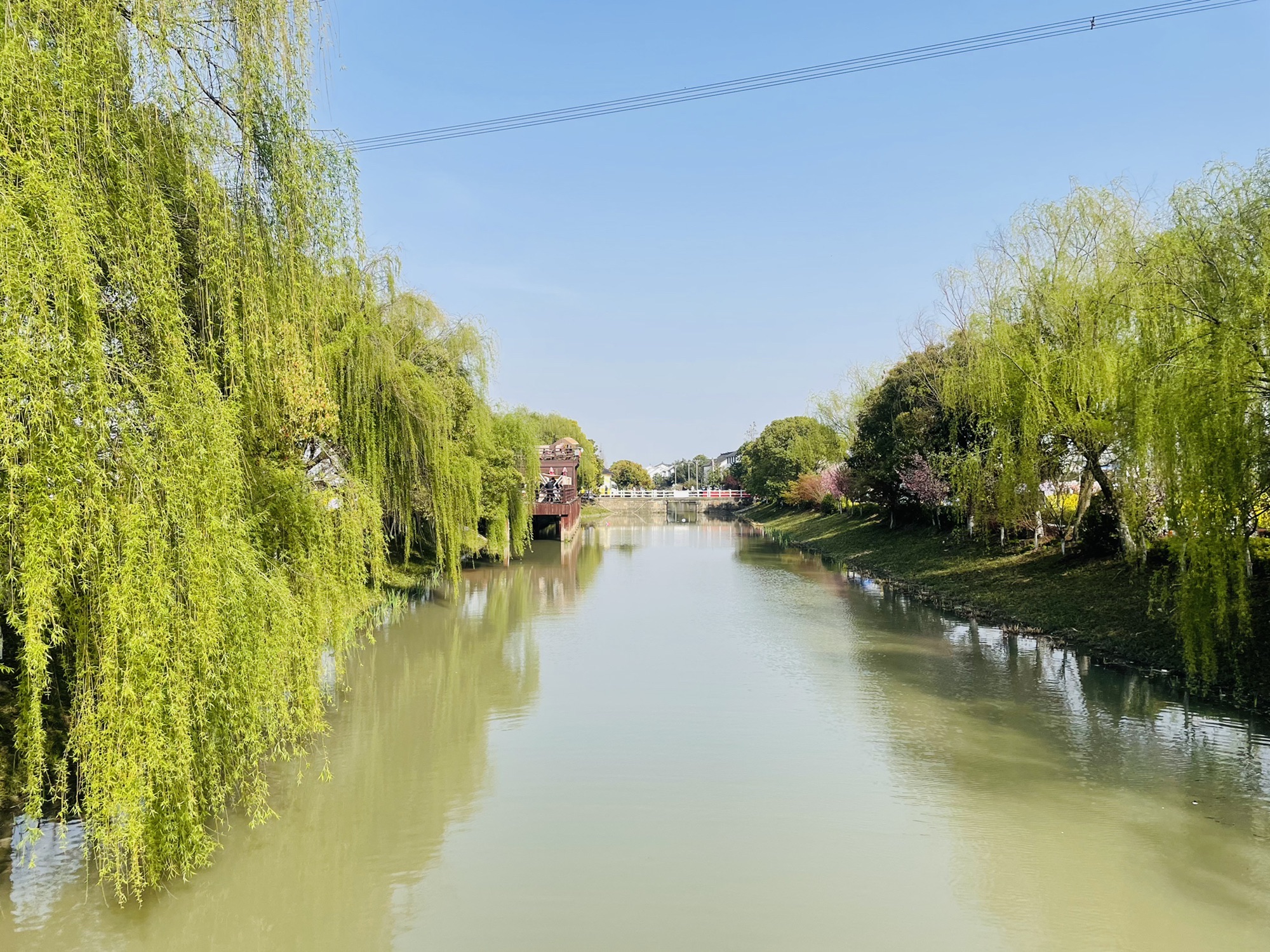 北联村油菜花瞭望台旅行图片 3