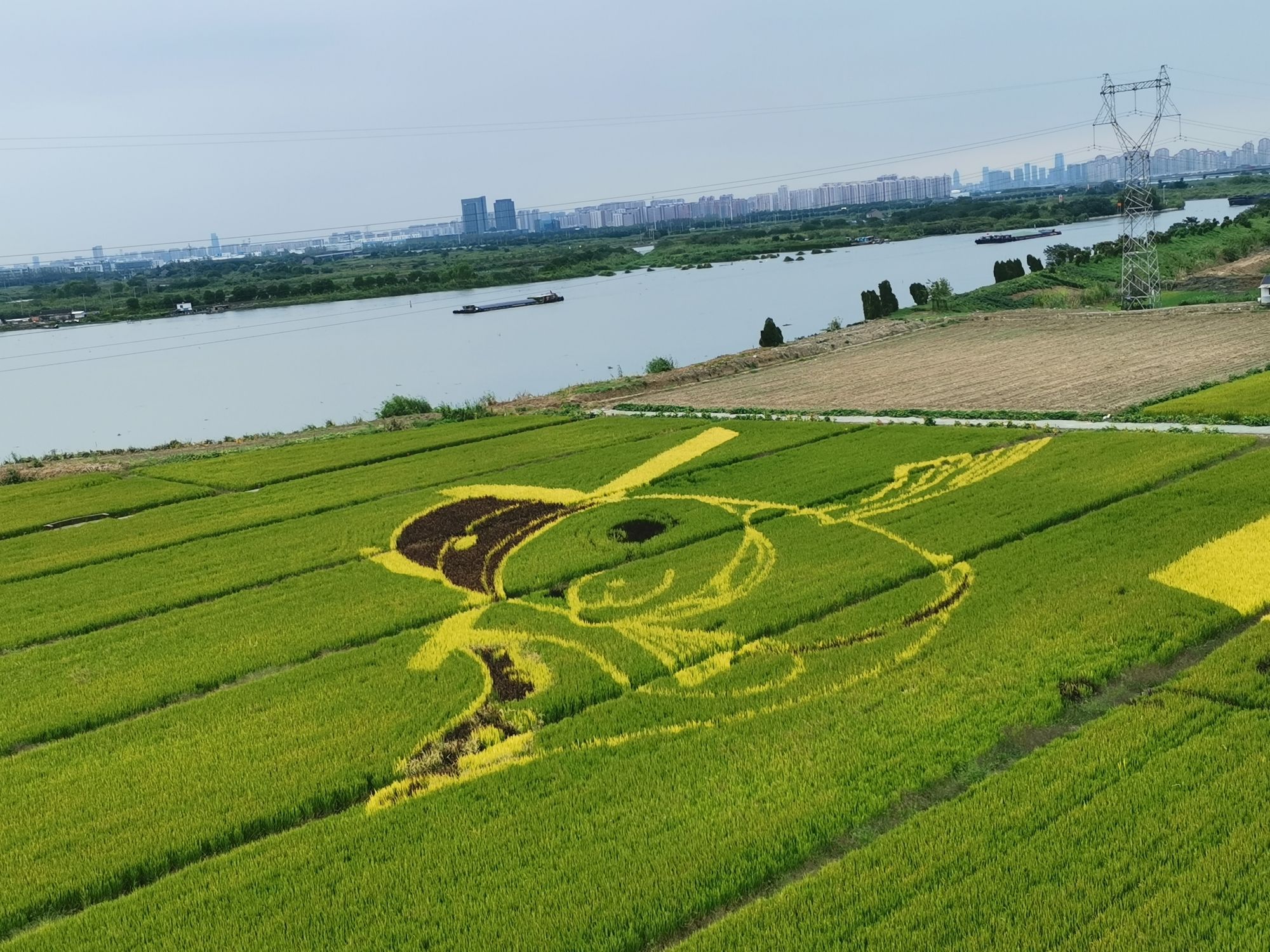 北联村油菜花瞭望台旅行图片 2
