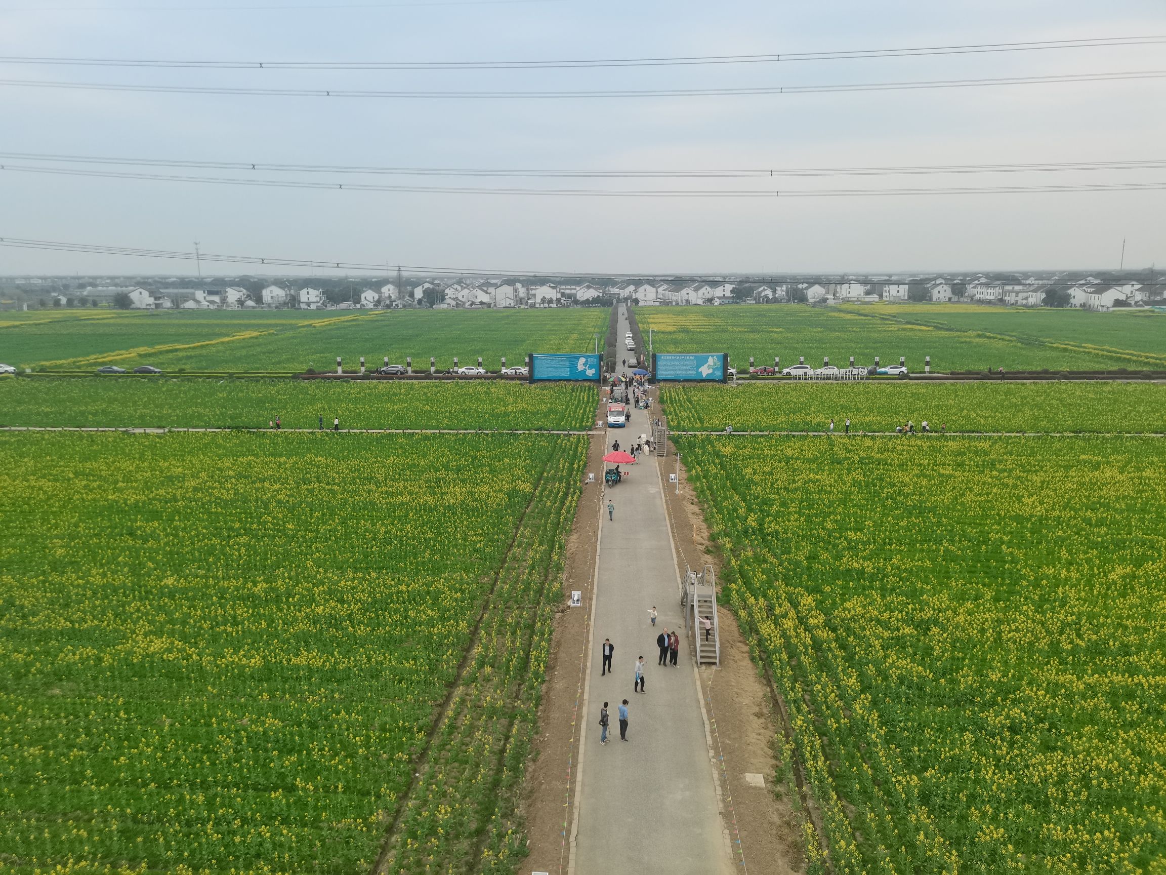 北联村油菜花瞭望台旅行图片 2