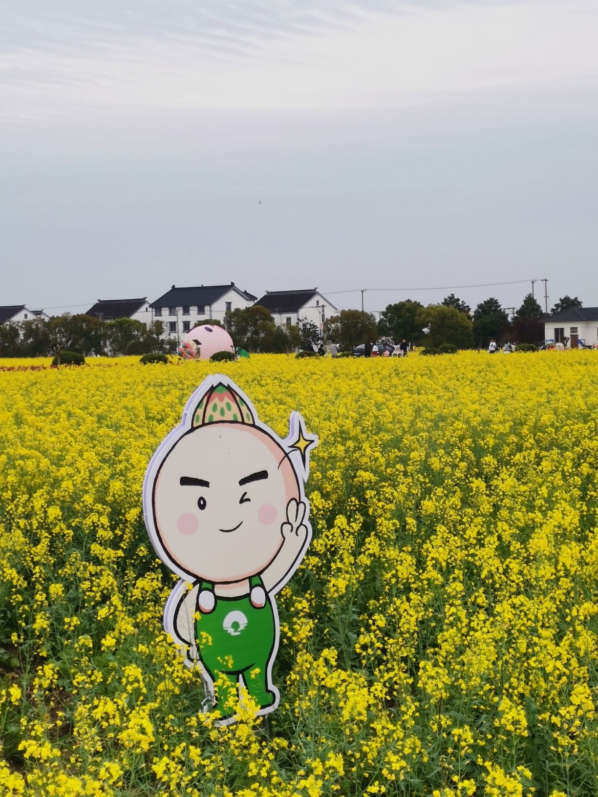北联村油菜花瞭望台旅行图片 3