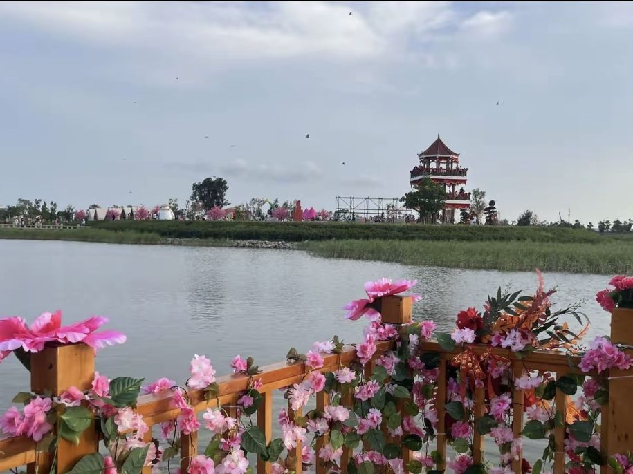 菜堂湿地公园旅行图片 1