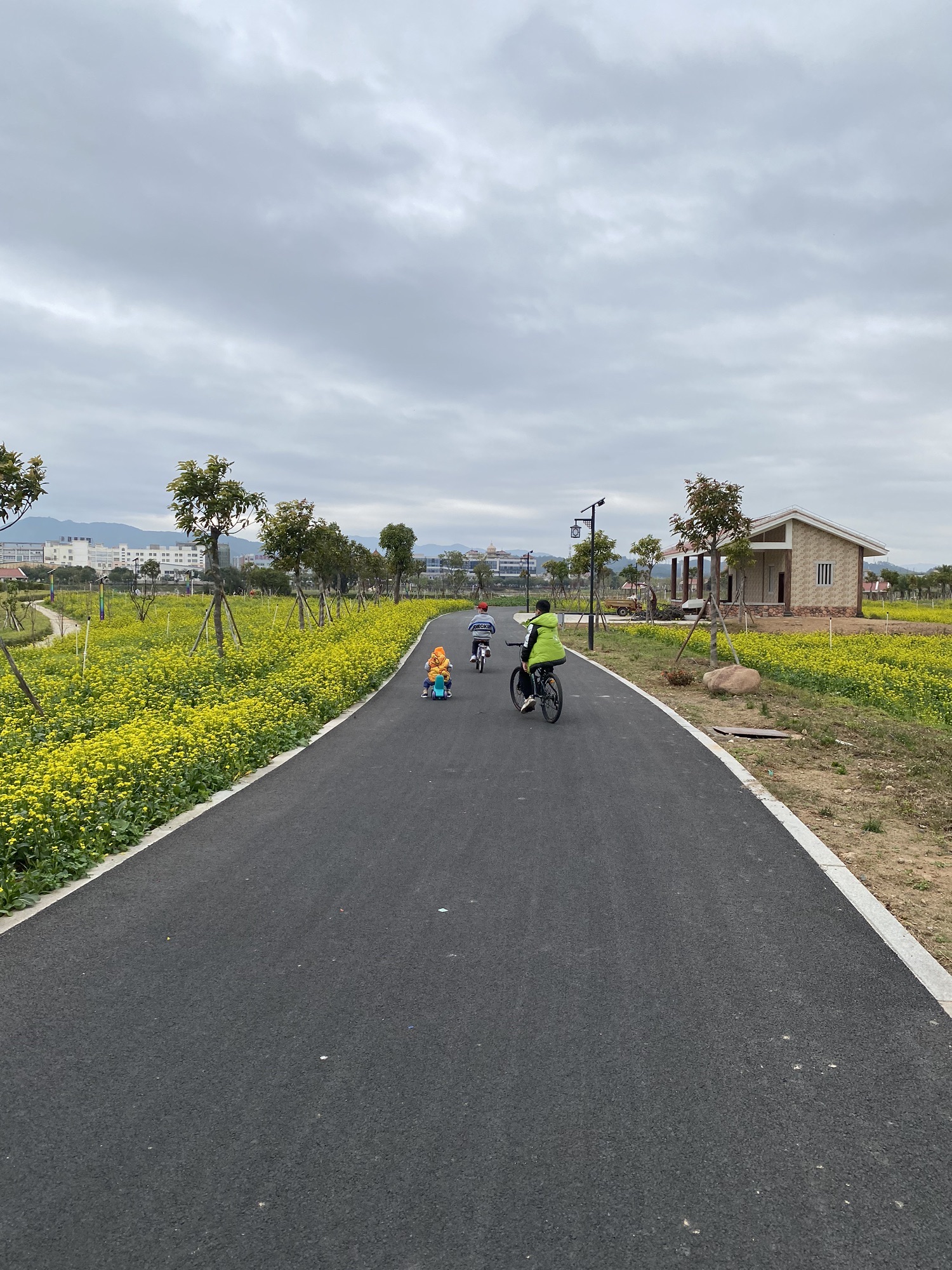 菜堂湿地公园旅行图片 3