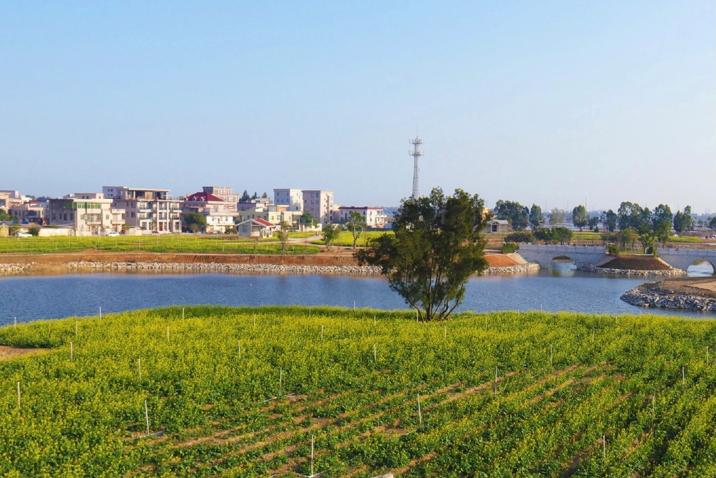菜堂湿地公园旅行图片 2
