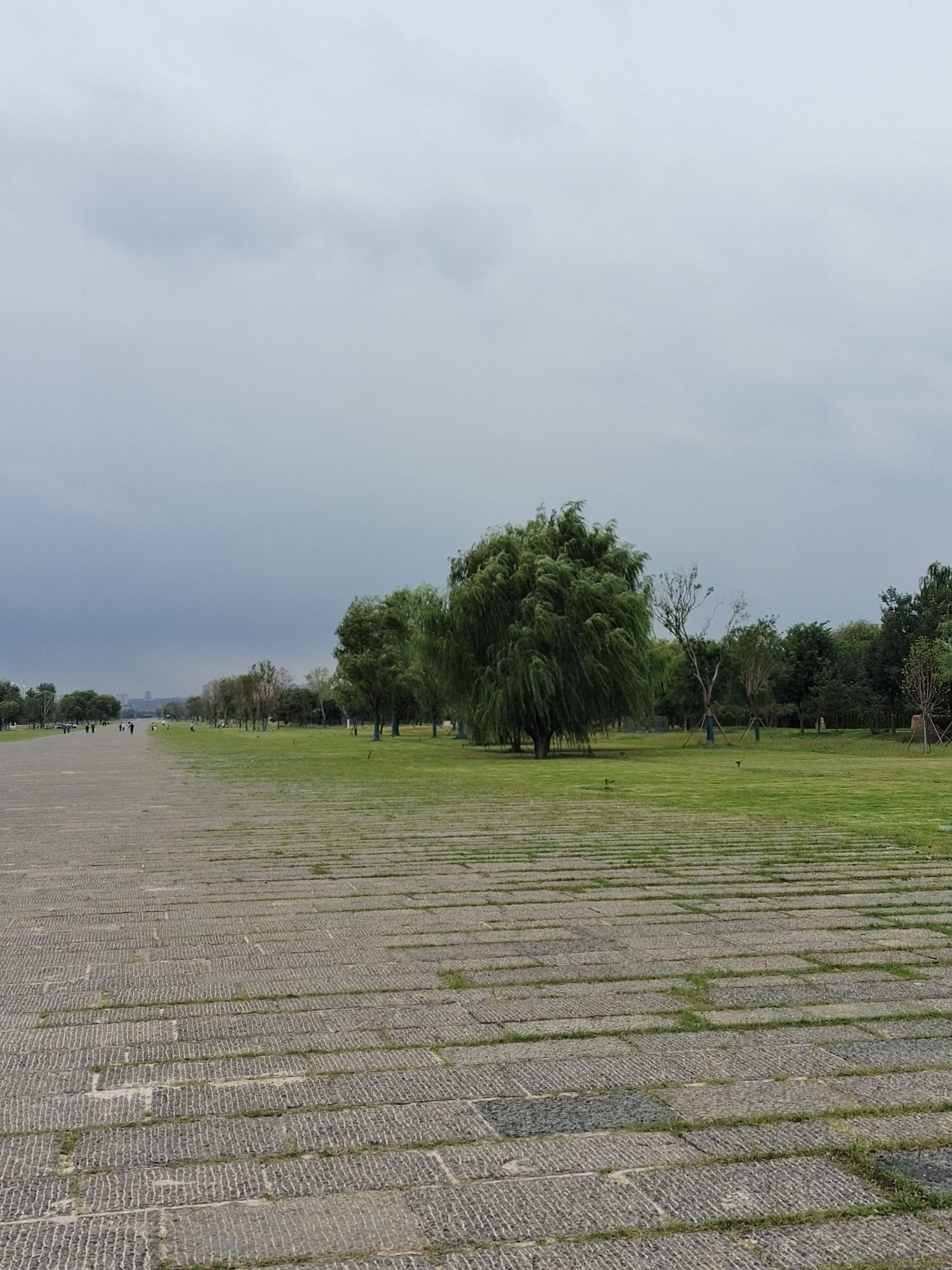 天街公园旅行图片 3