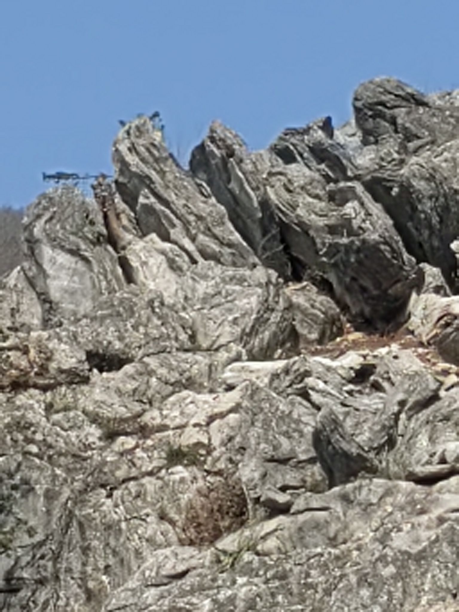 五华山隐静禅寺风景区旅行图片 2