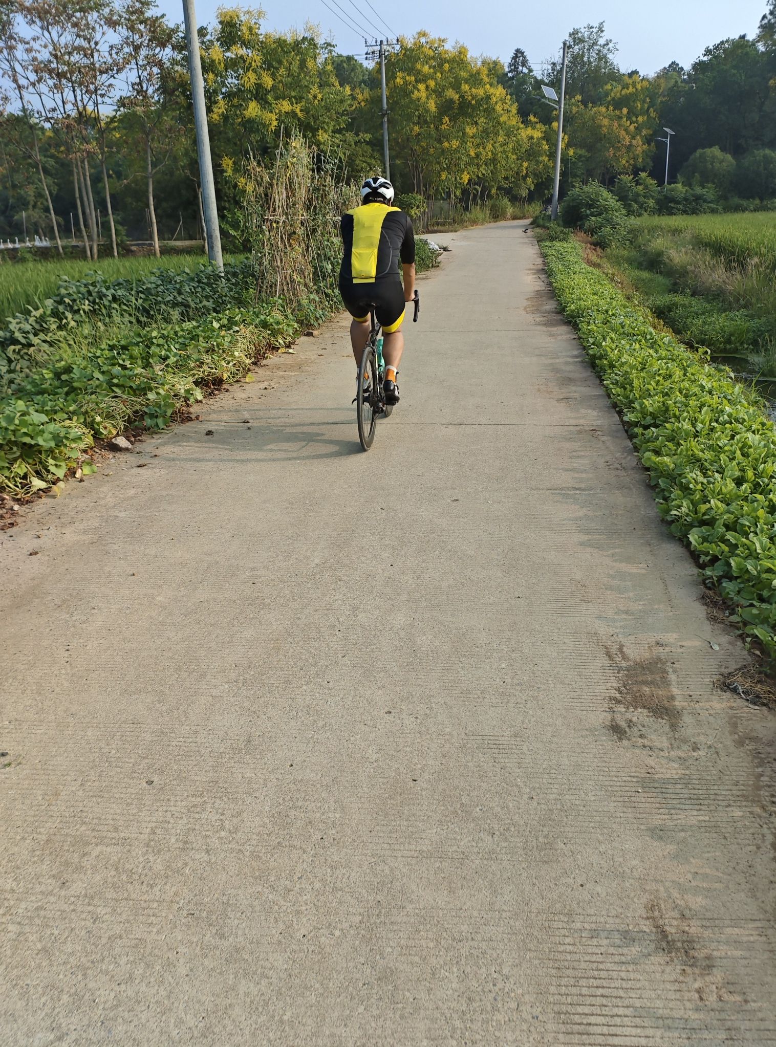 五华山隐静禅寺风景区旅行图片 1