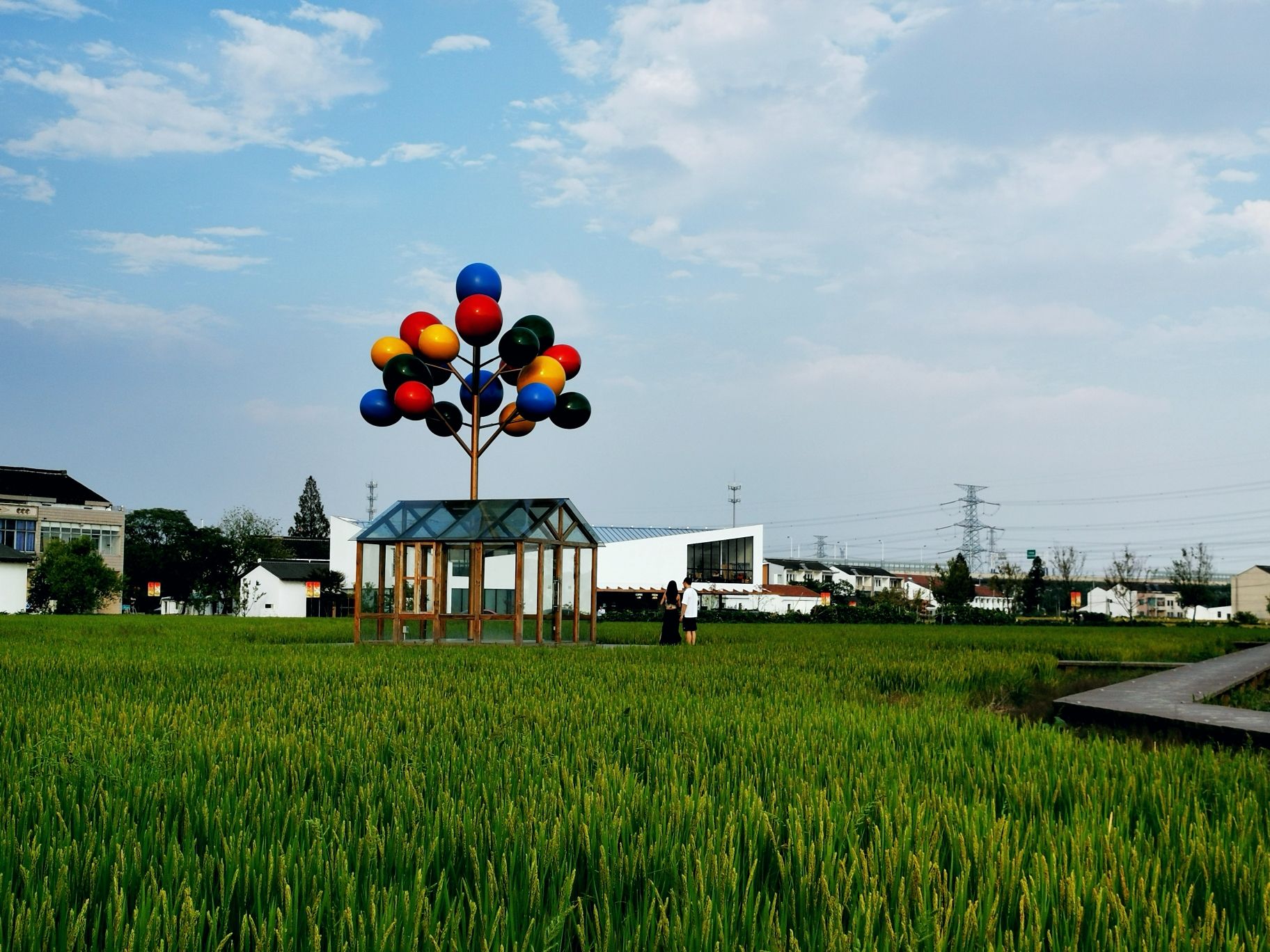 花开西庄旅行图片 3