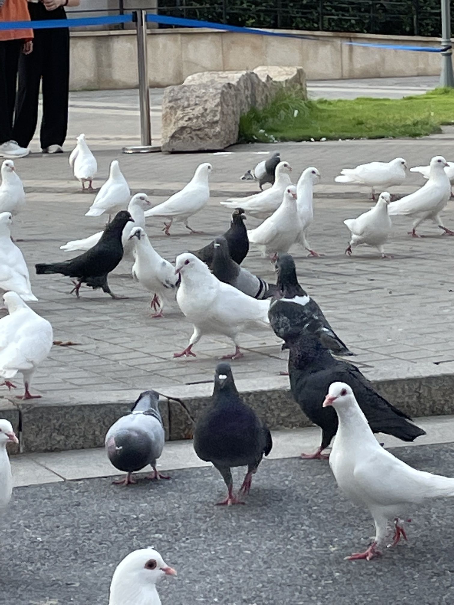 迎宾广场(北龙蟠街)旅行图片 1