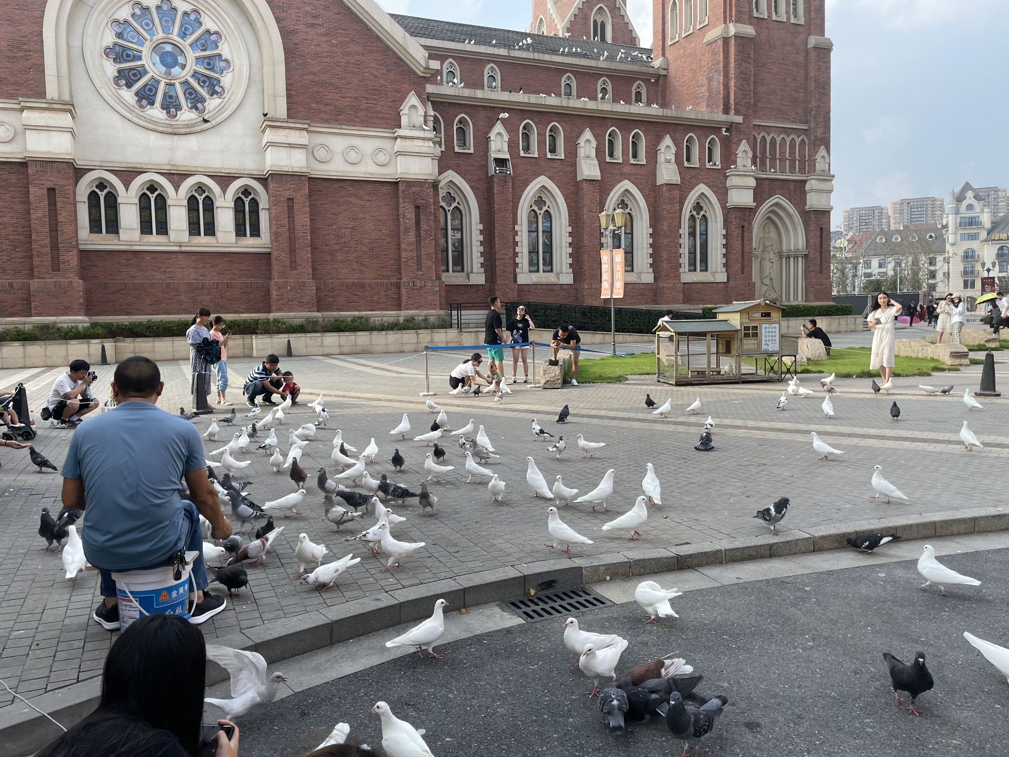迎宾广场(北龙蟠街)旅行图片 3