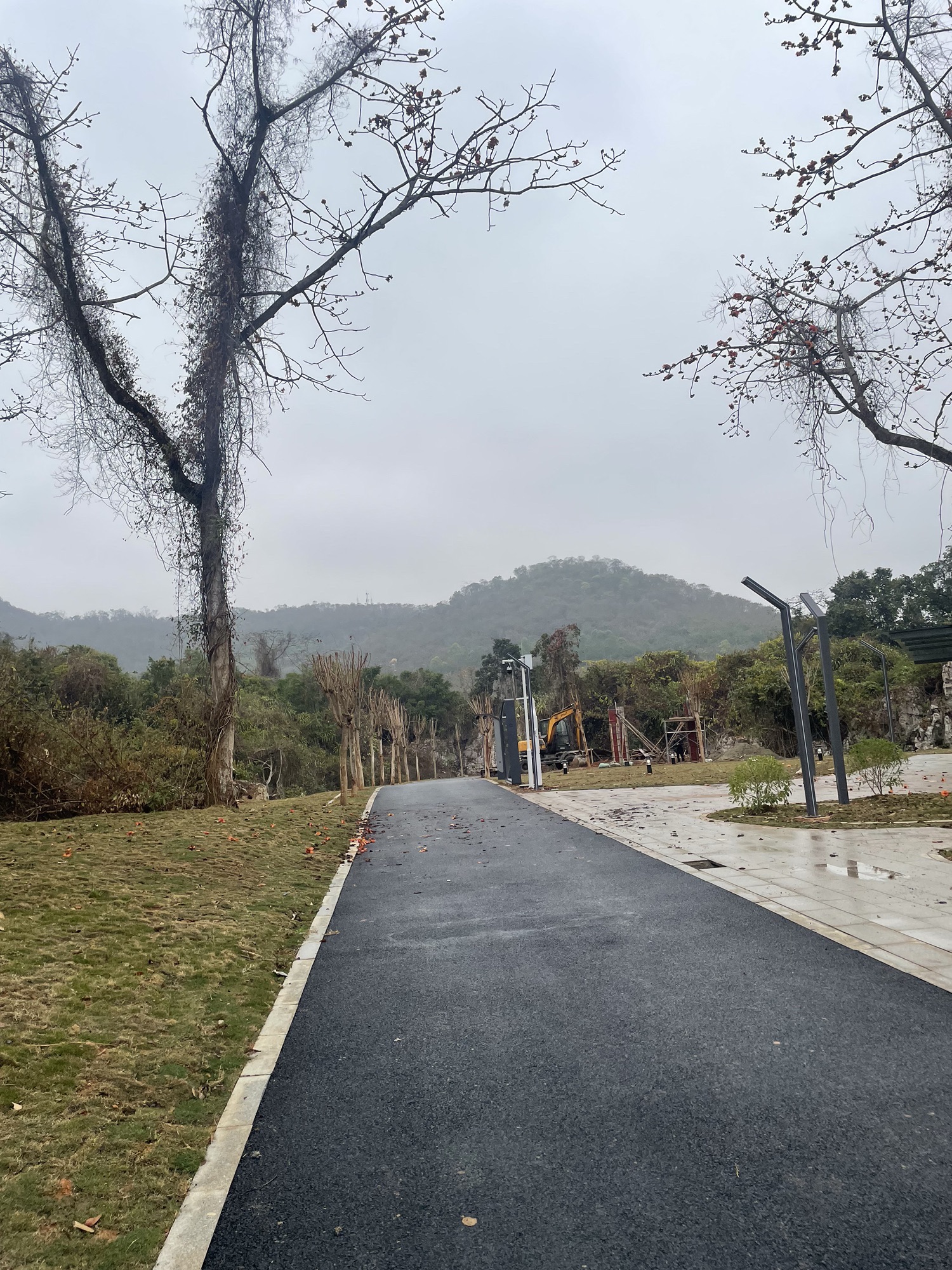 龙峡山国家森林公园旅行图片 2