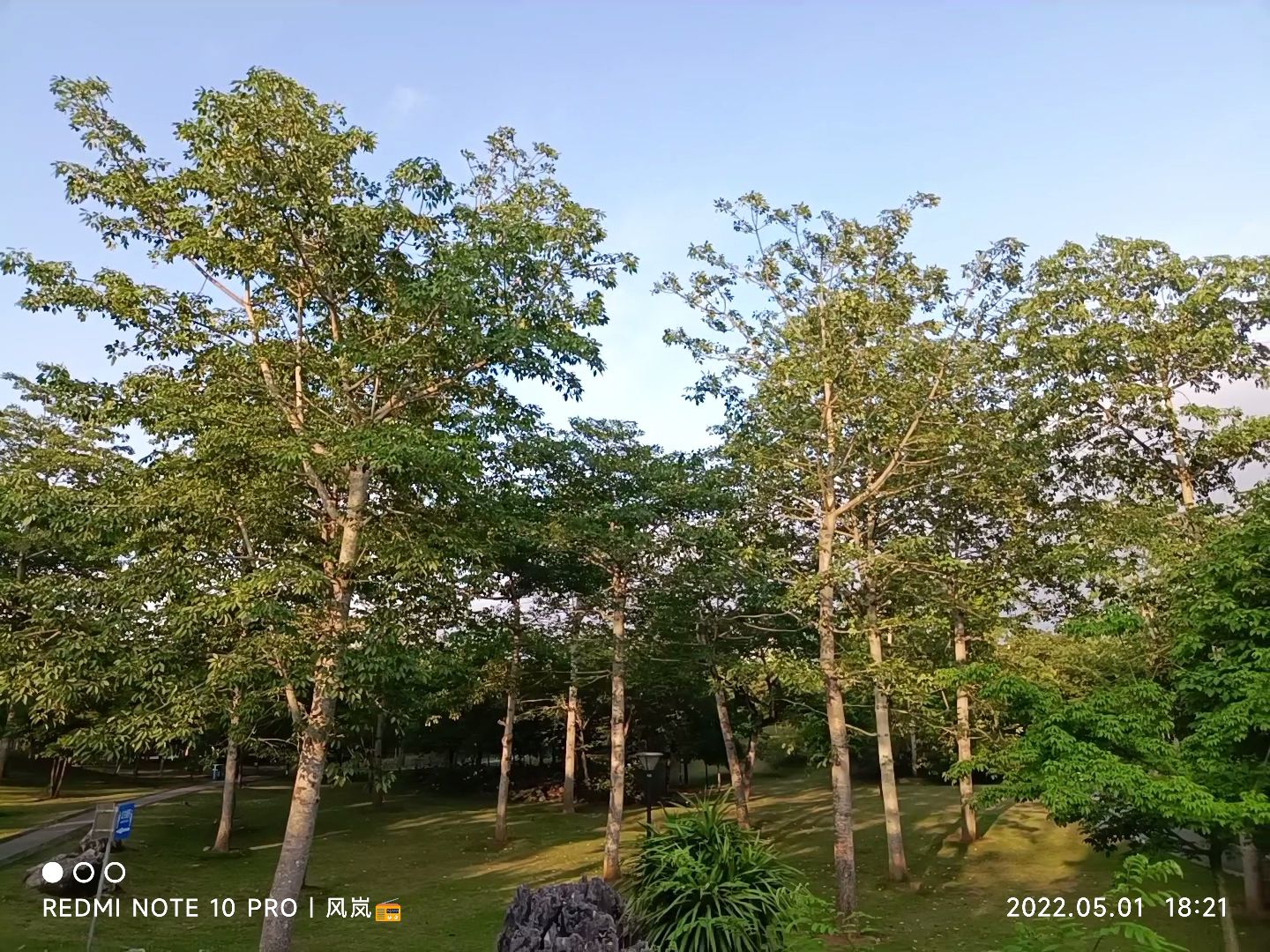 龙峡山国家森林公园旅行图片 1