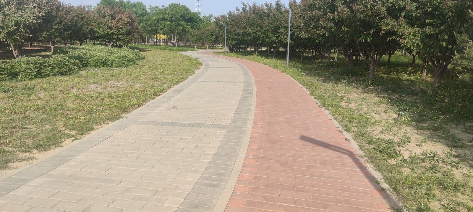 卢沟公园旅行图片 2