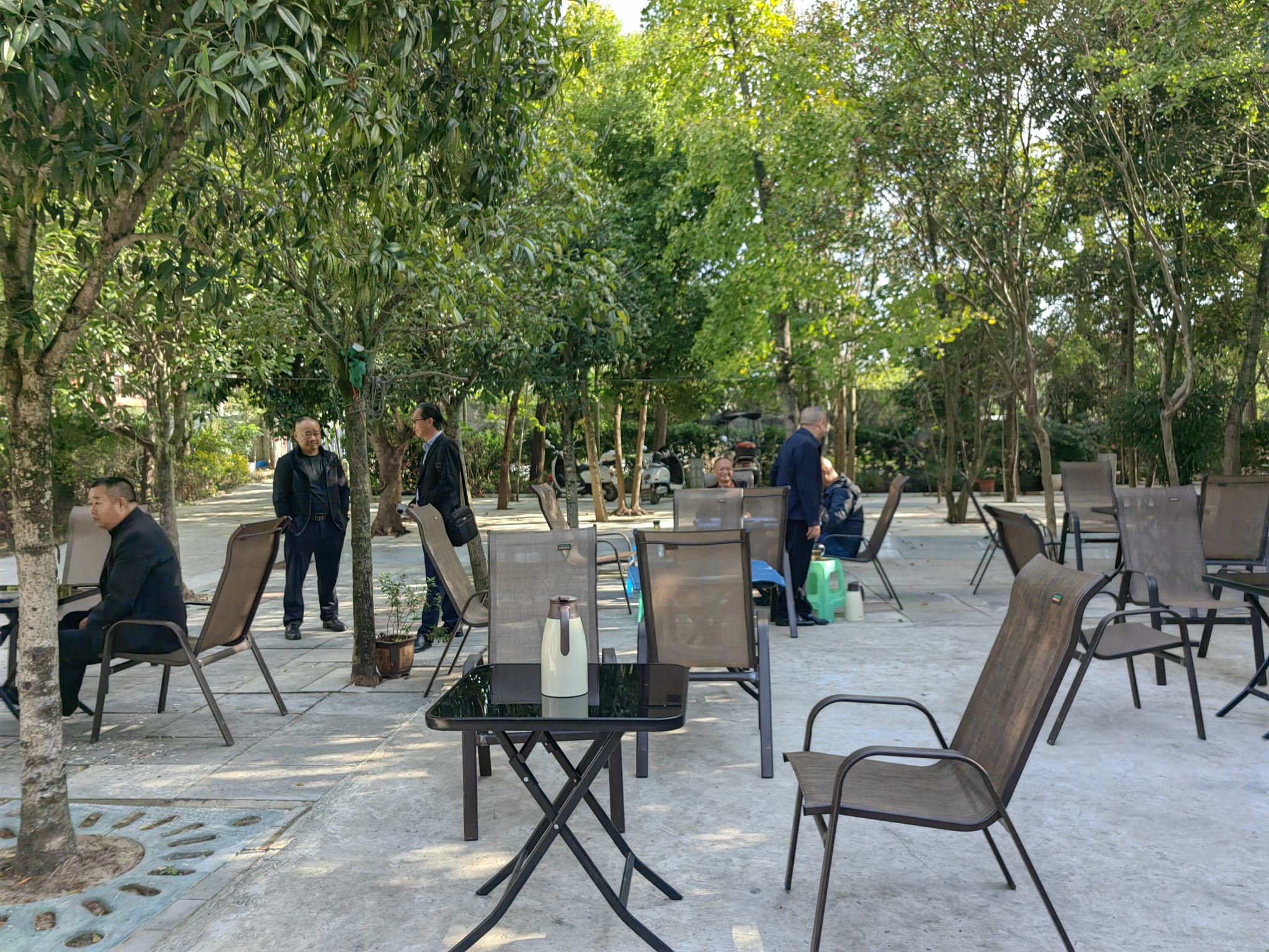 态森植物园旅行图片 1