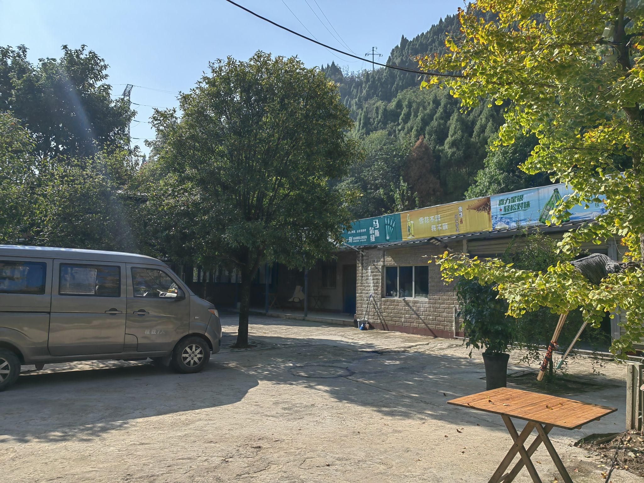 态森植物园旅行图片 1