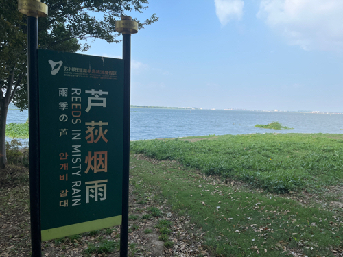 芦荻烟雨
