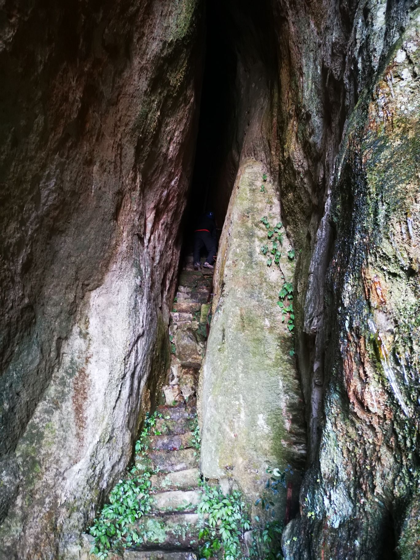 白岩山旅行图片 1