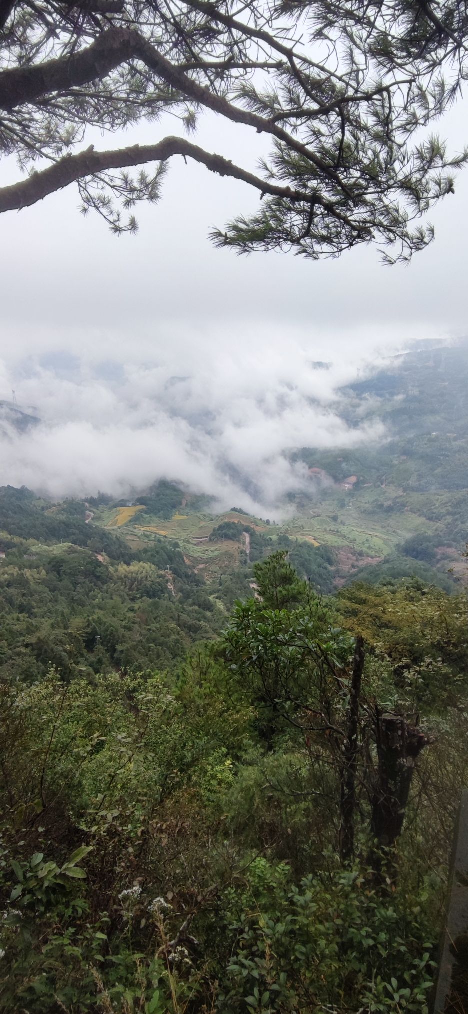 白岩山旅行图片 3