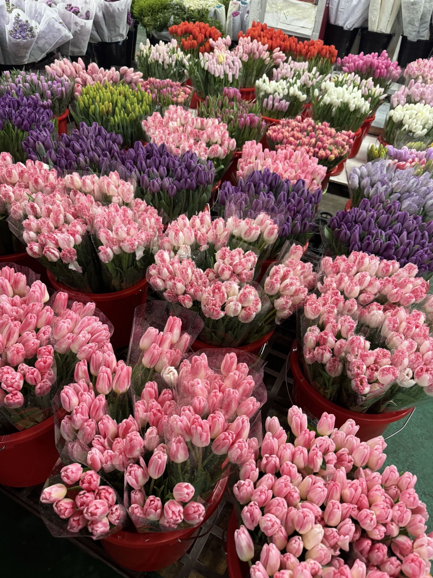 王四营鲜花批发